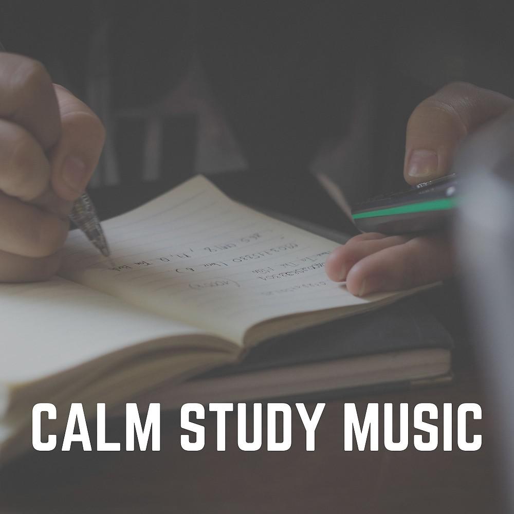 Постер альбома Calm Study Music