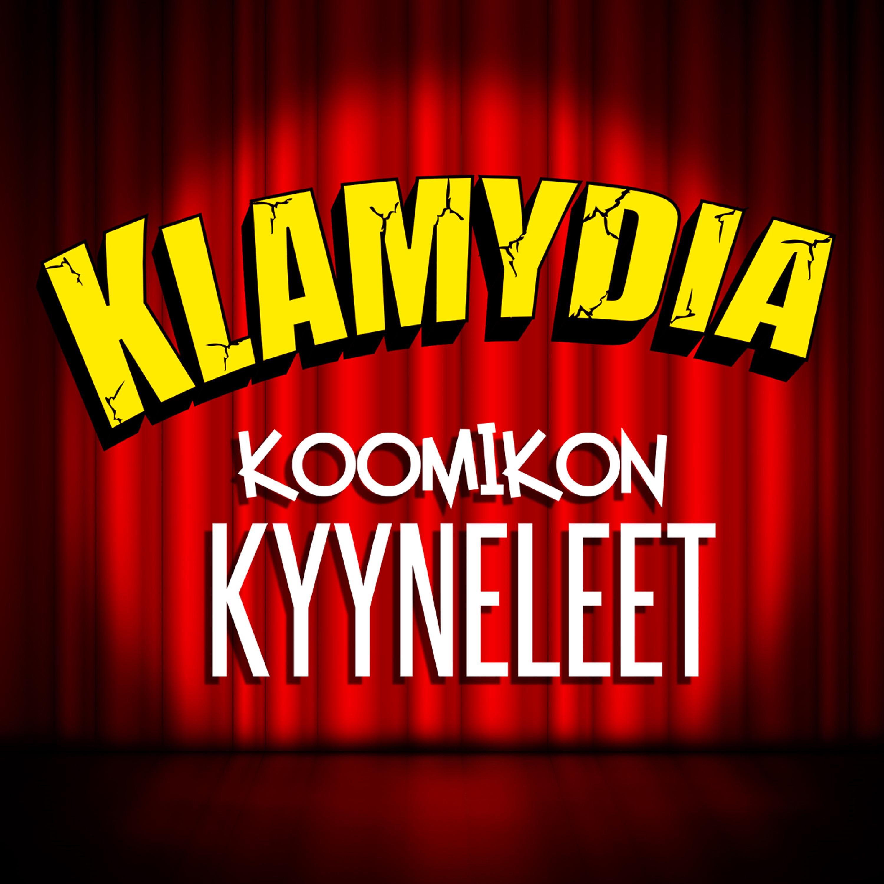 Постер альбома Koomikon kyyneleet - Single