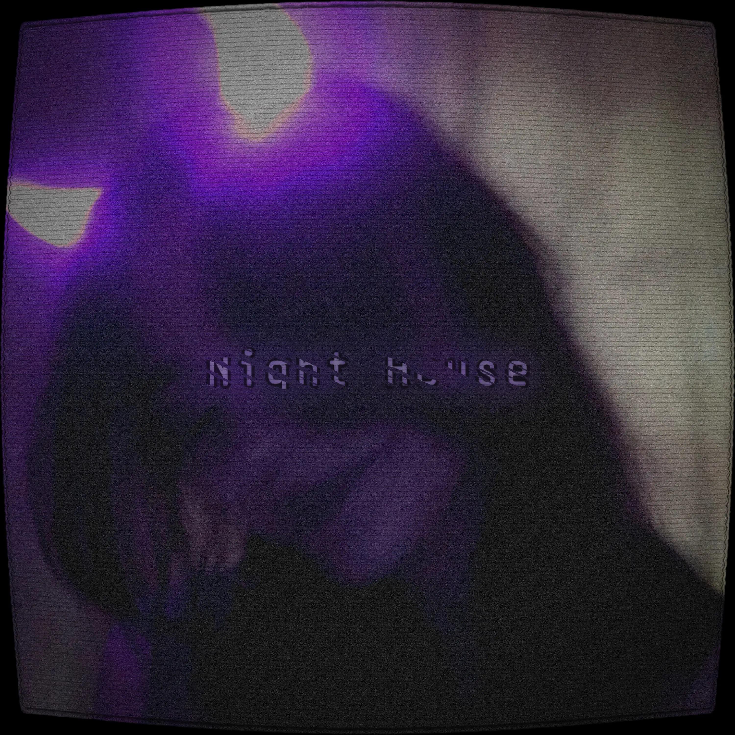 Постер альбома Night House