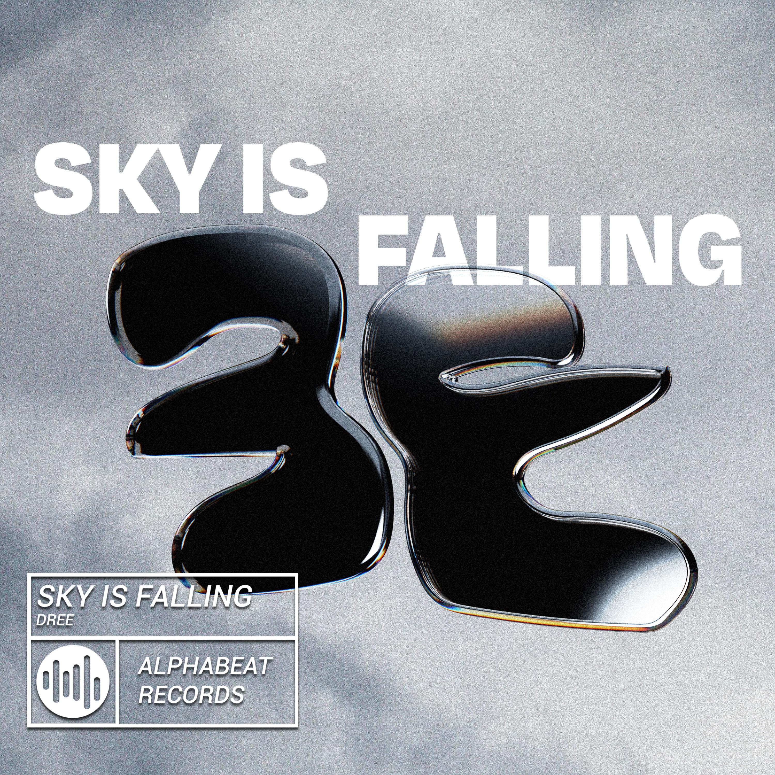 Постер альбома Sky is Falling
