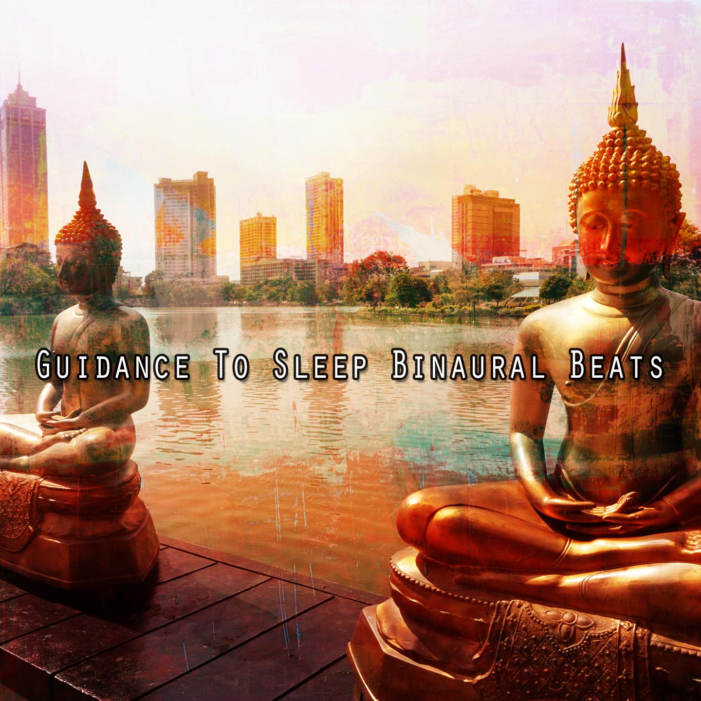Постер альбома Guidance To Sleep Binaural Beats