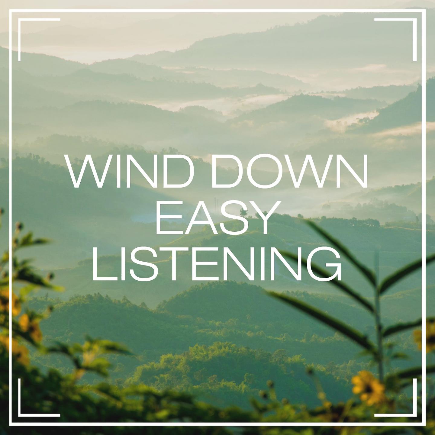 Постер альбома Wind Down Easy Listening