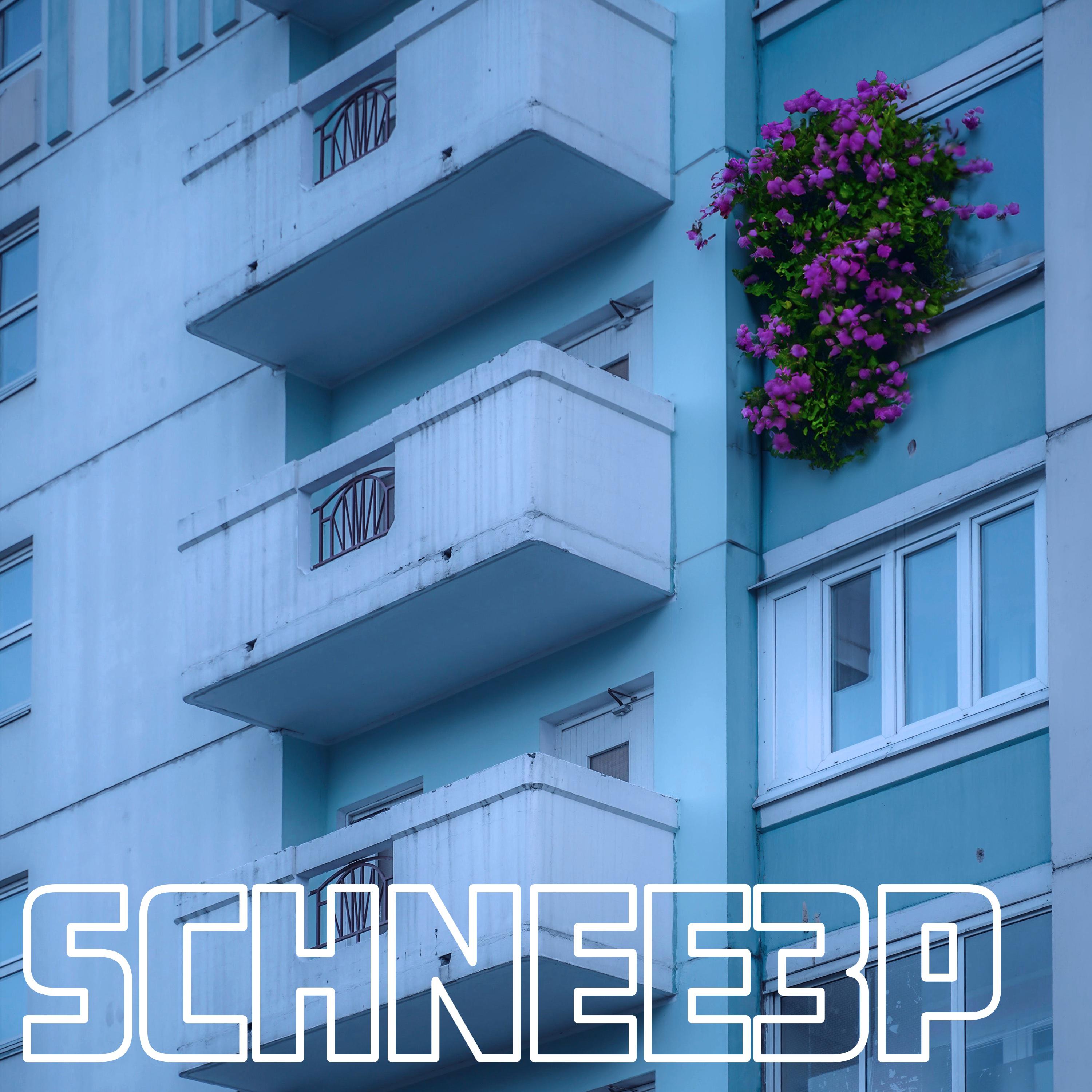 Постер альбома Schnee3p