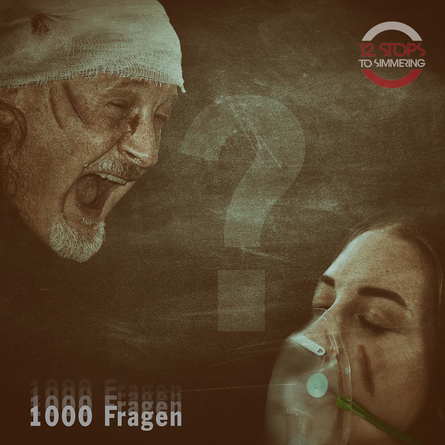 Постер альбома 1000 Fragen