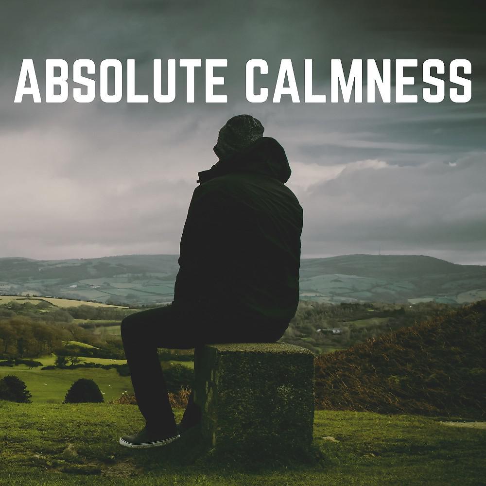 Постер альбома Absolute Calmness