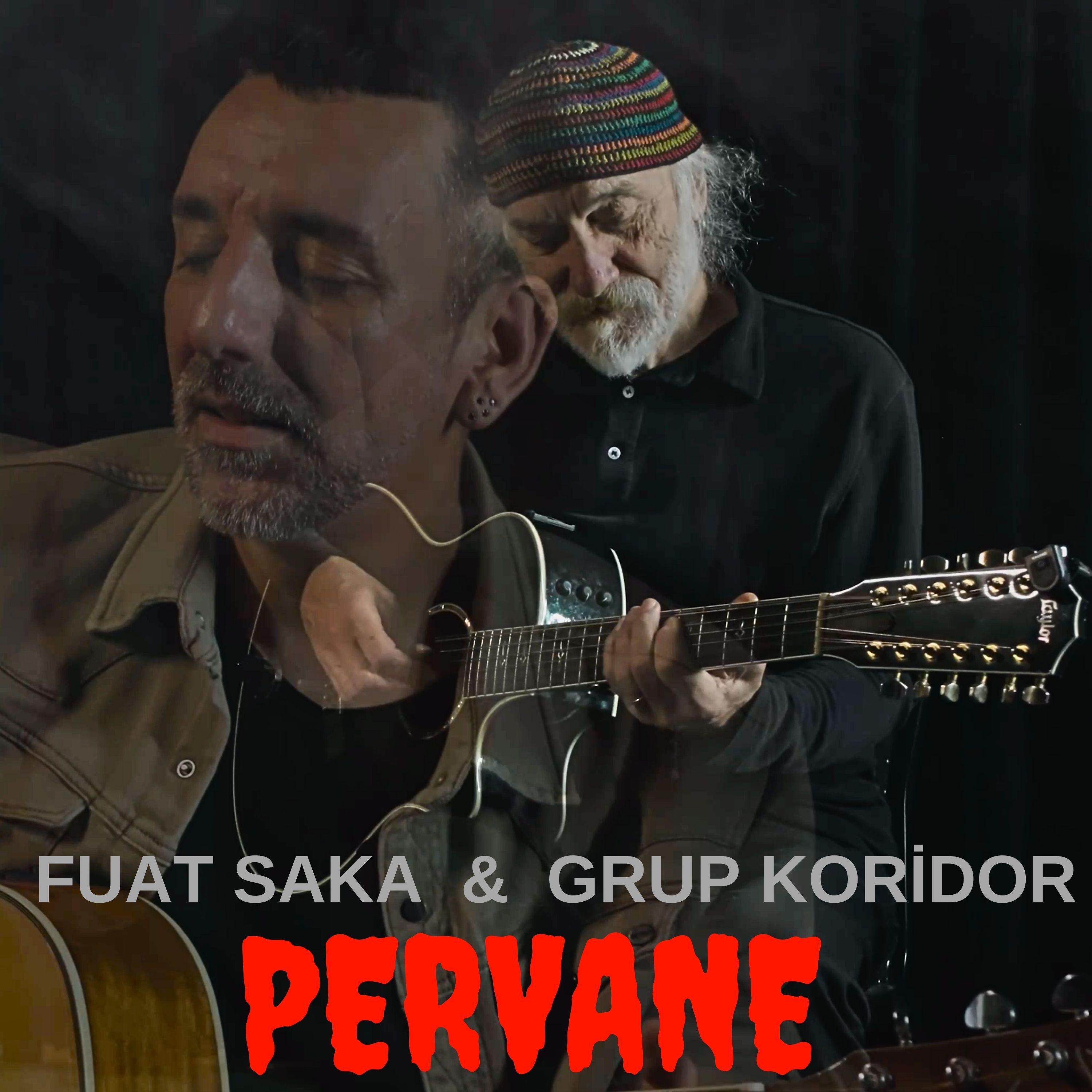 Постер альбома Pervane