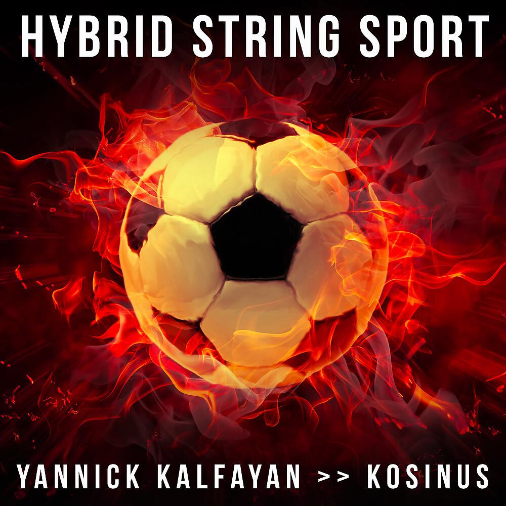 Постер альбома Hybrid String Sport