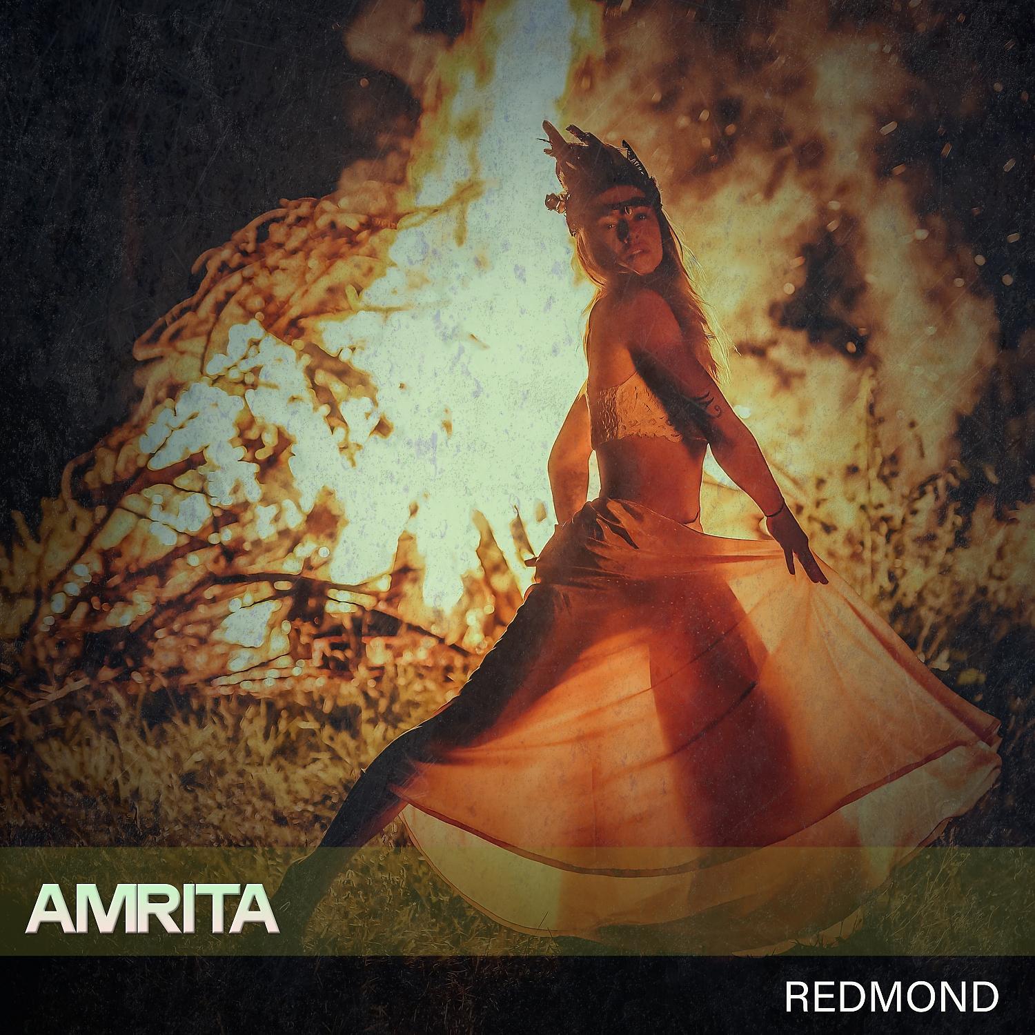 Постер альбома Amrita