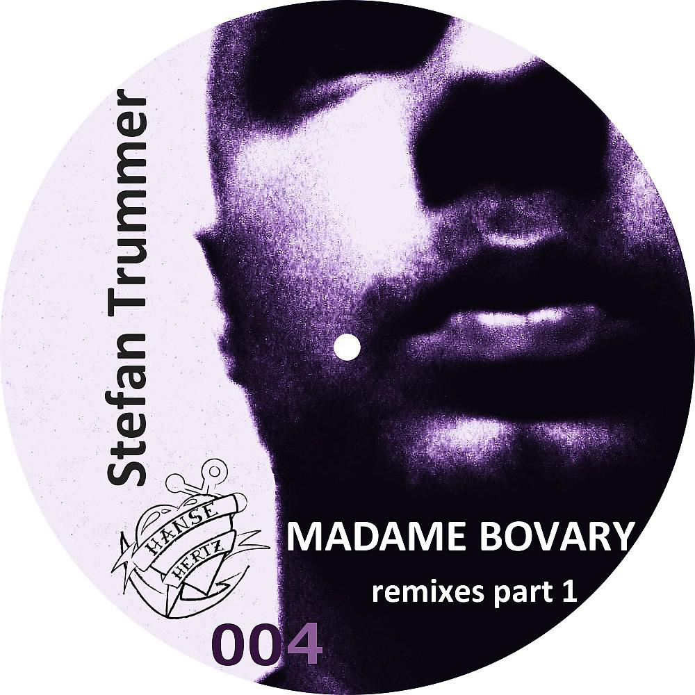 Постер альбома Madame Bovary Remixes, Pt. 1