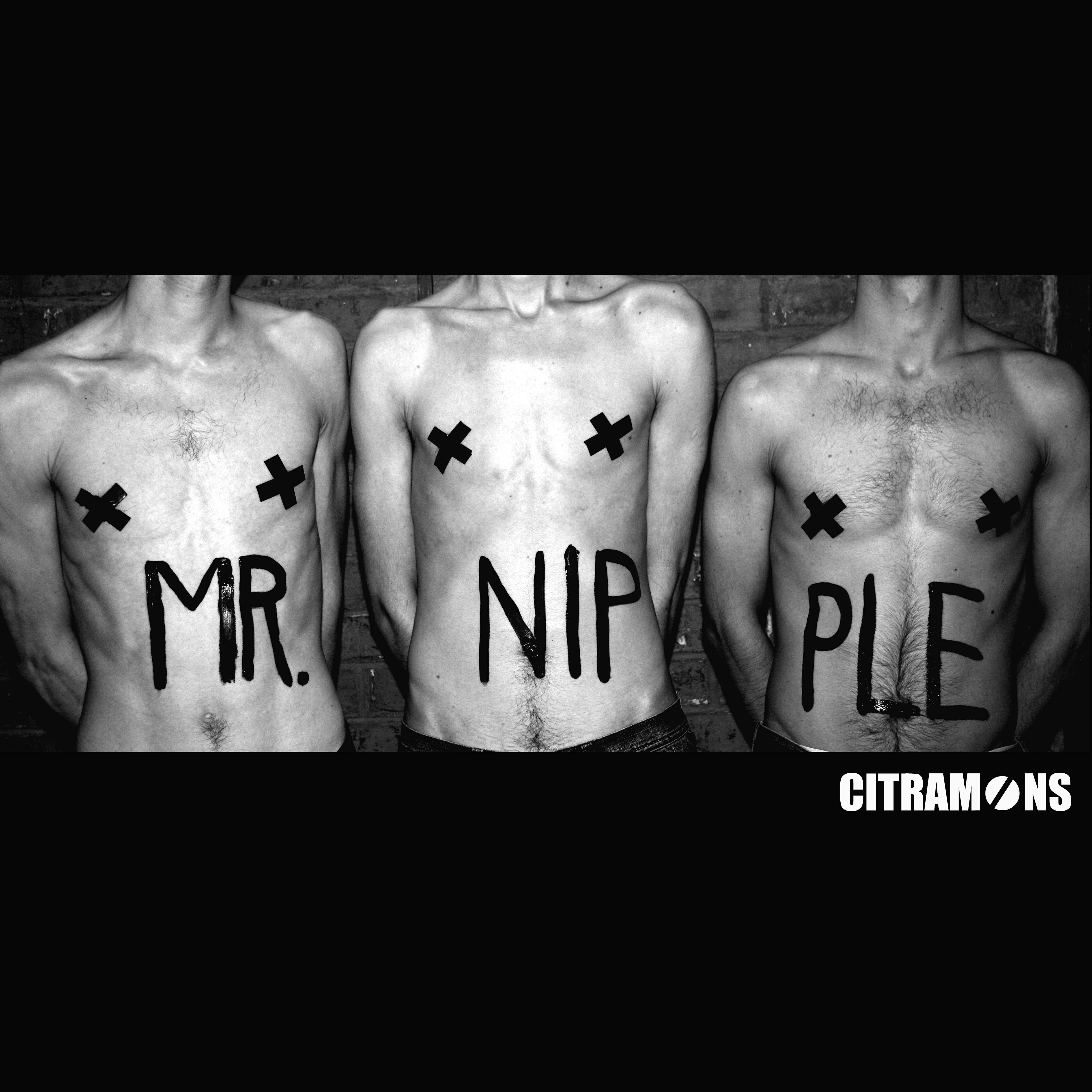 Постер альбома Mr. Nipple