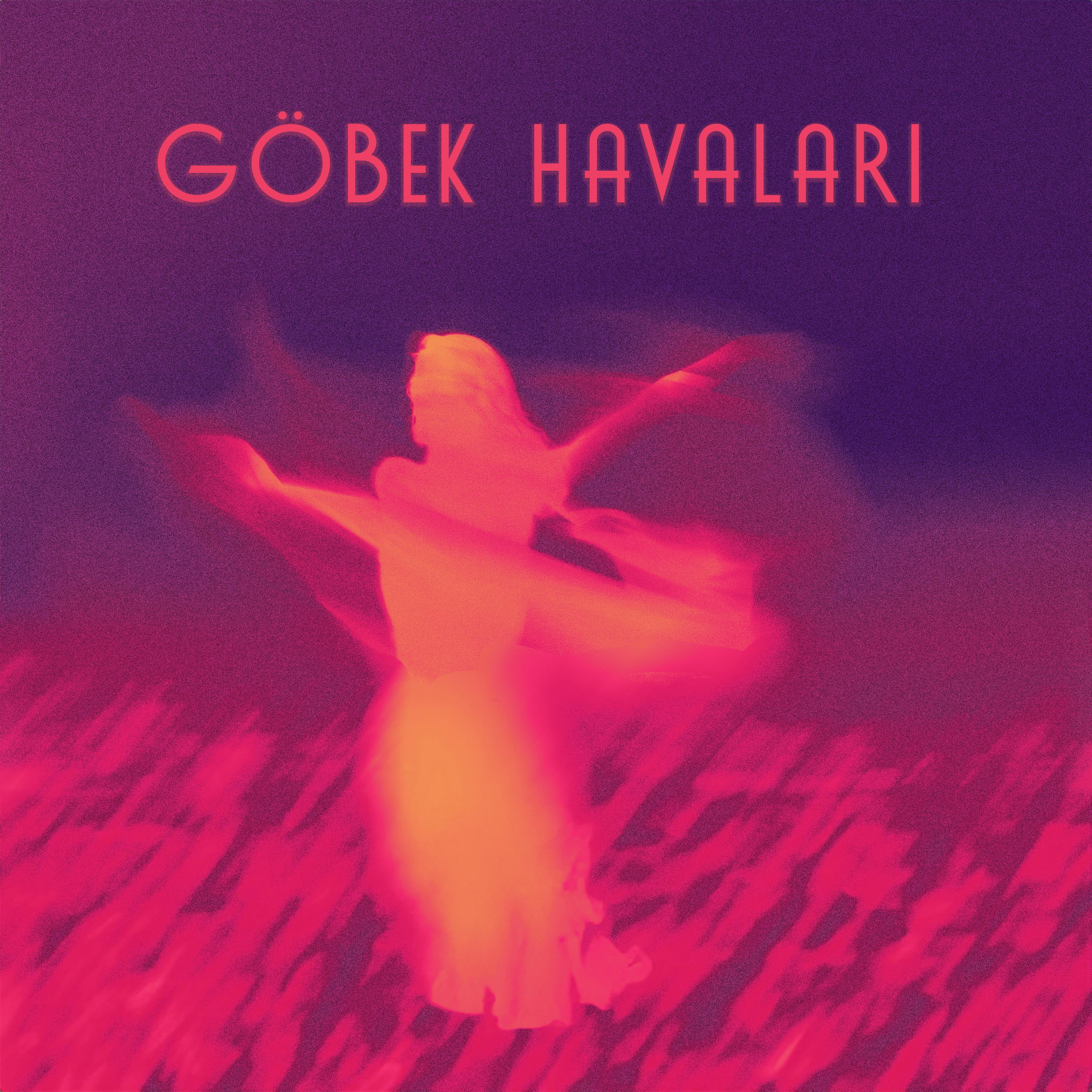 Постер альбома Göbek Havaları