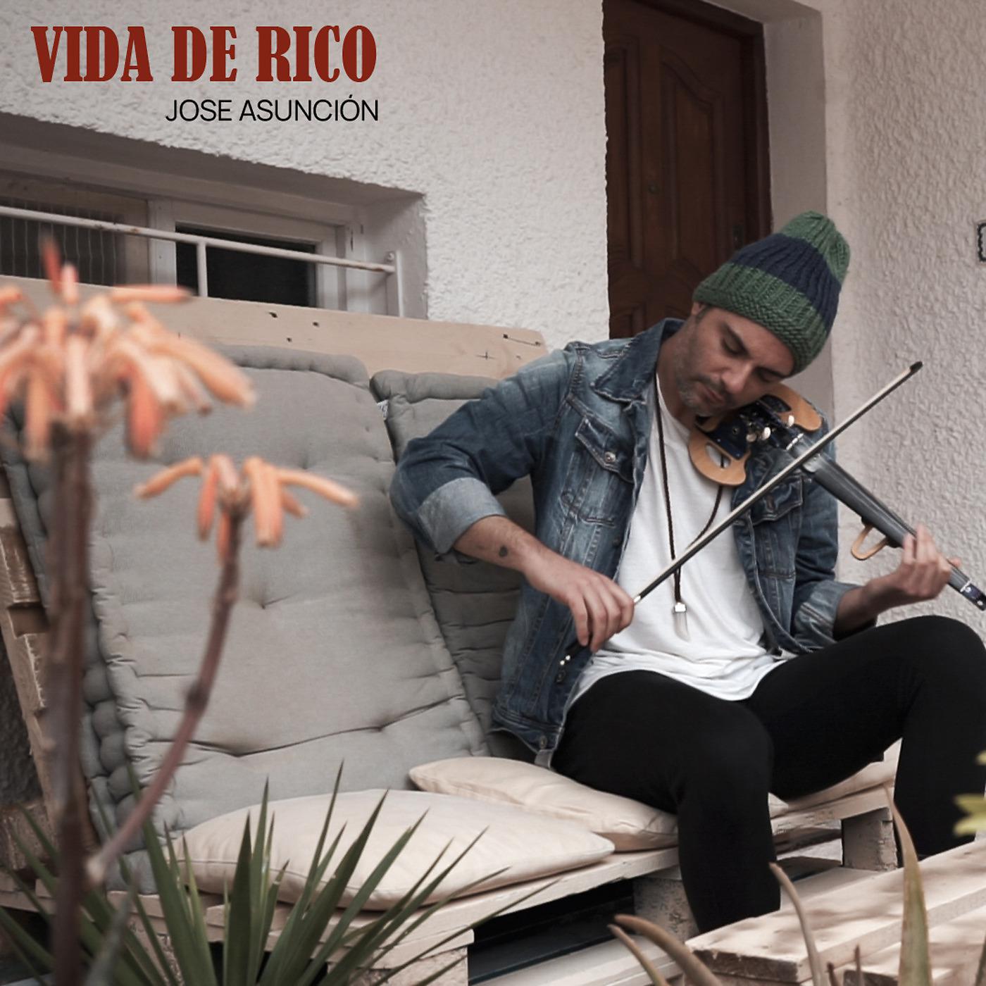 Постер альбома Vida de Rico