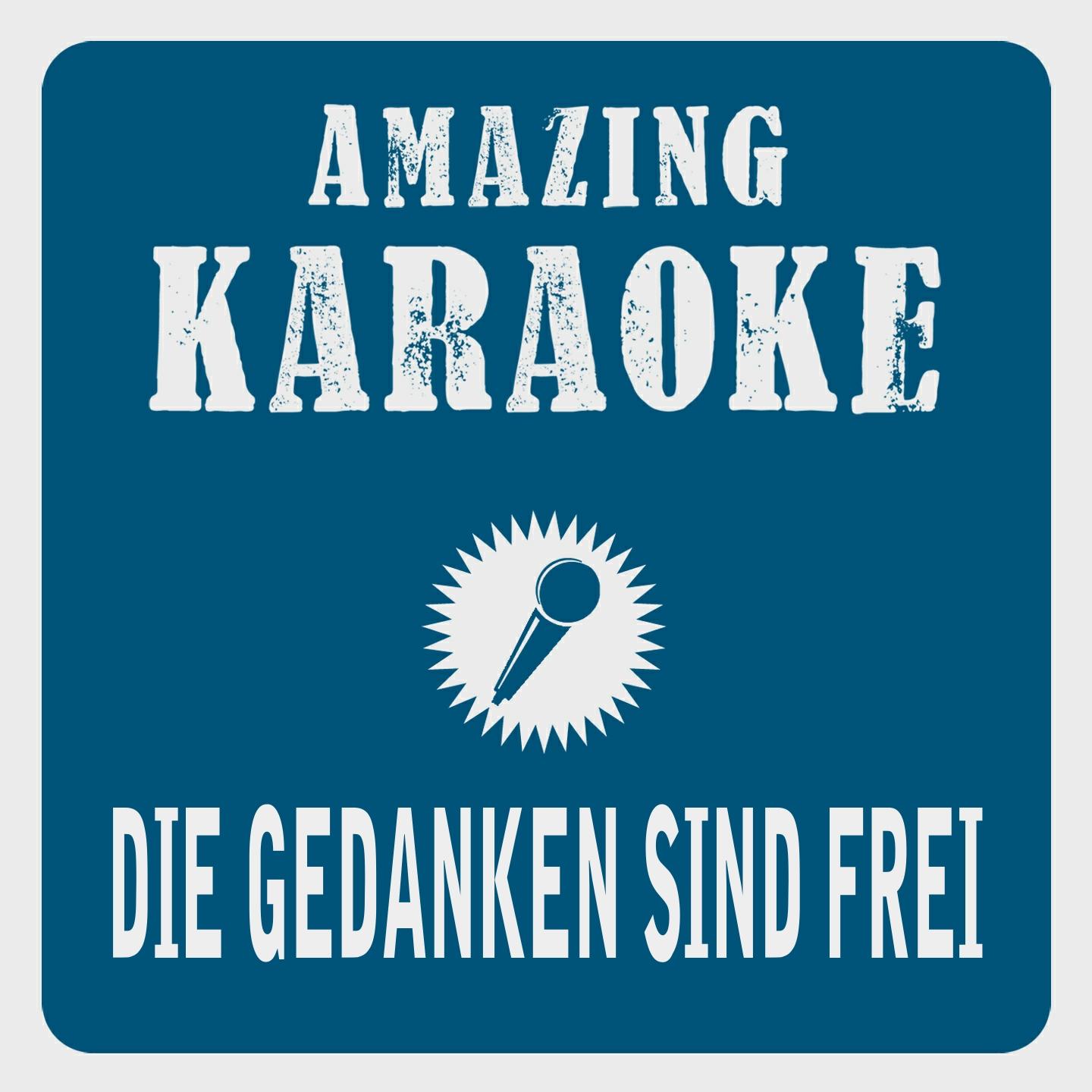 Постер альбома Die Gedanken sind frei (Karaoke Version)