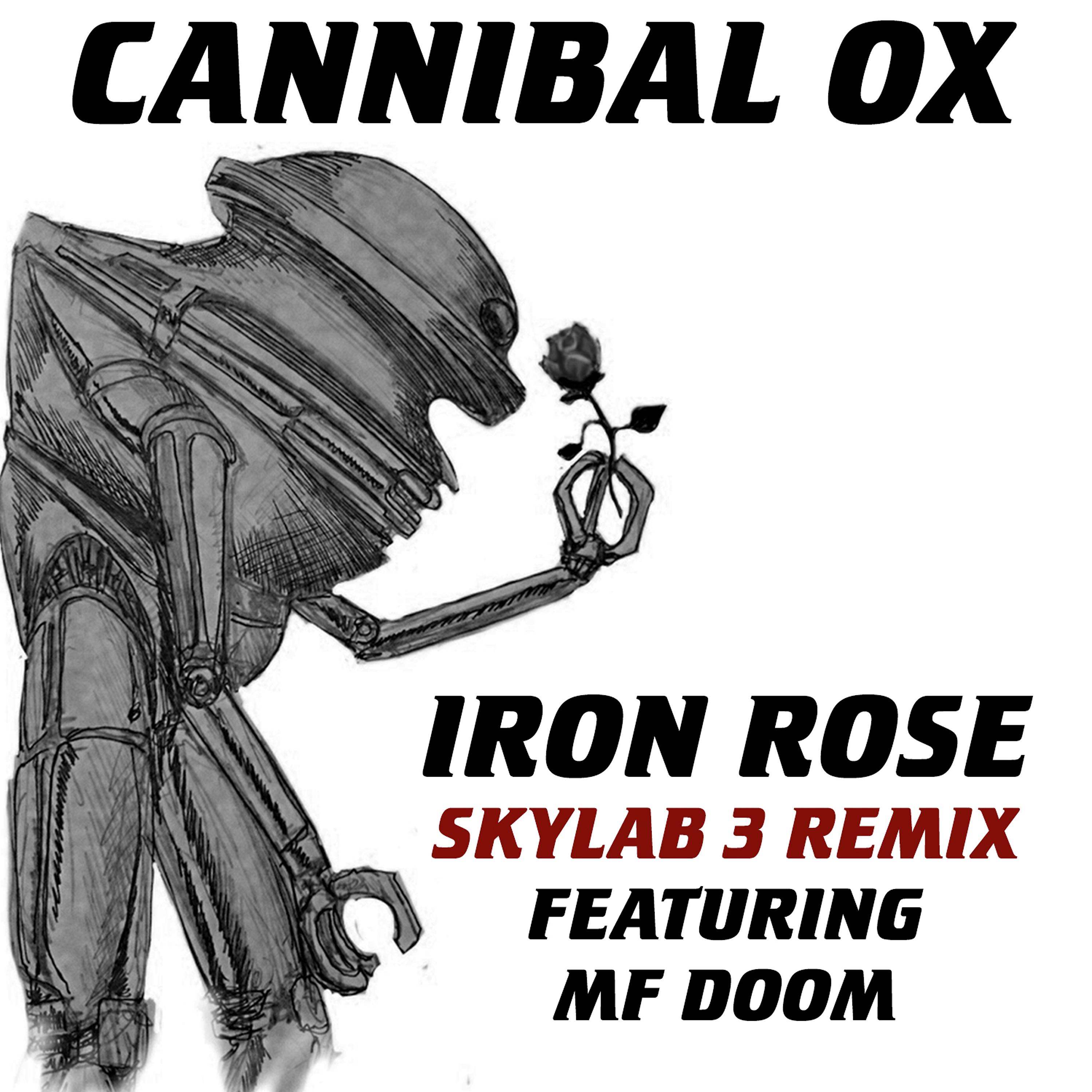 Постер альбома Iron Rose (Skylab 3 Remix)