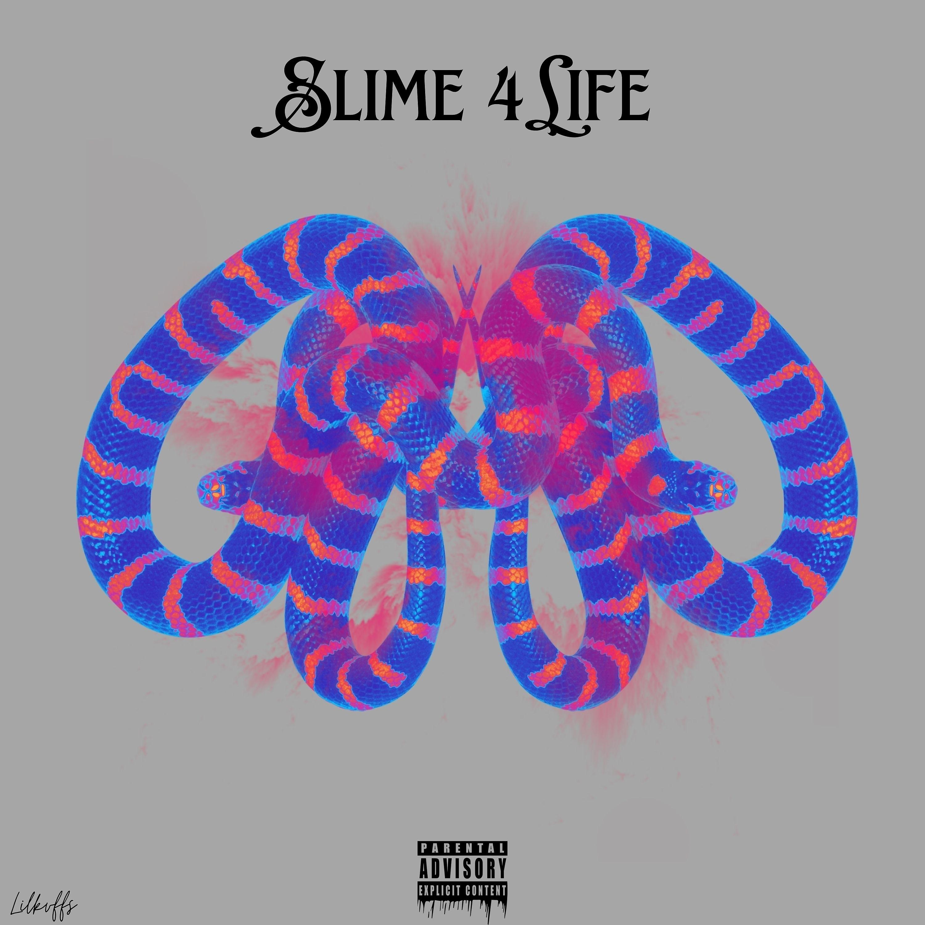 Постер альбома Slime 4 Life
