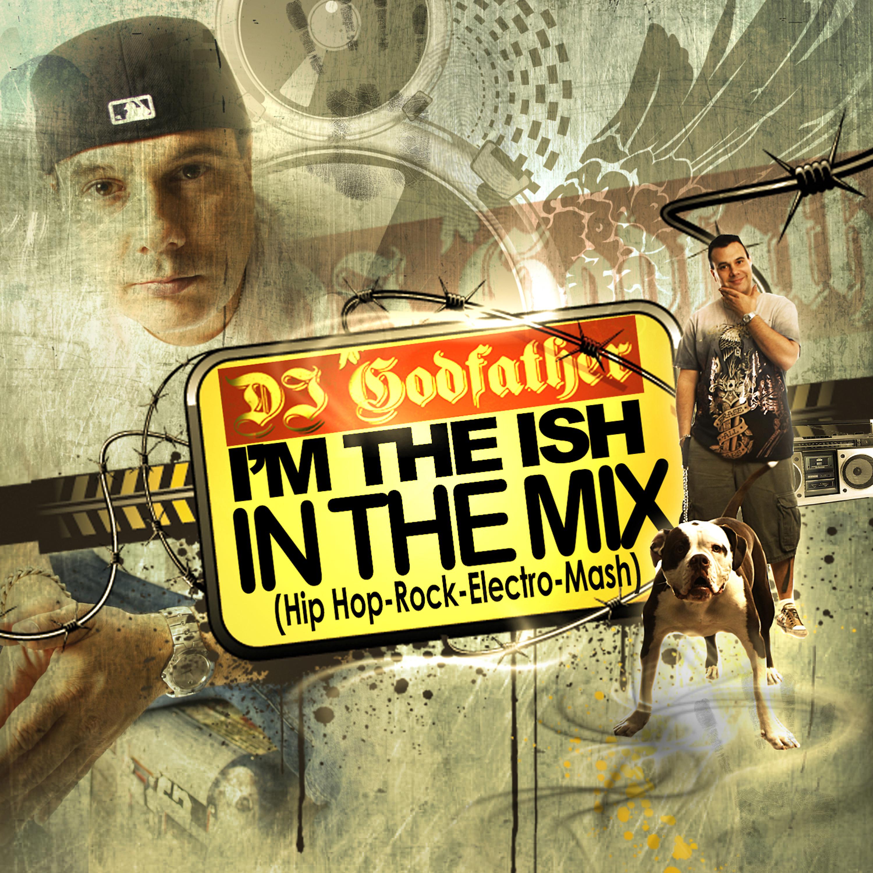 Постер альбома Im The Ish, In The Mix- Live Mash Up Mix