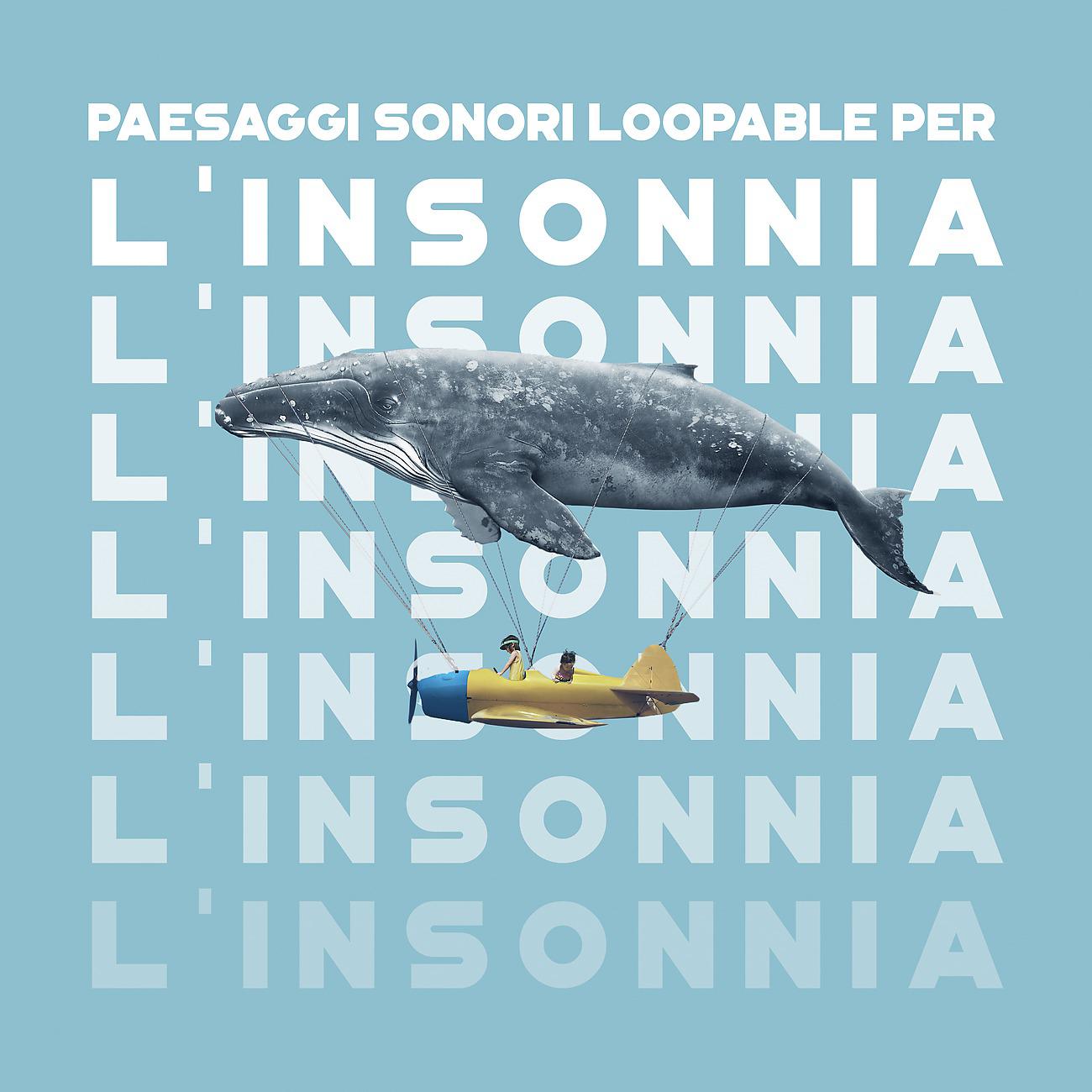 Постер альбома Paesaggi sonori loopable per l'insonnia