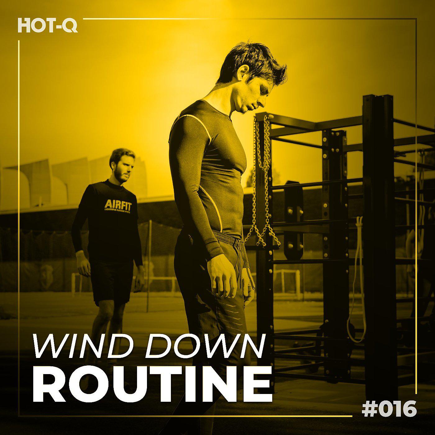 Постер альбома Wind Down Routine 016