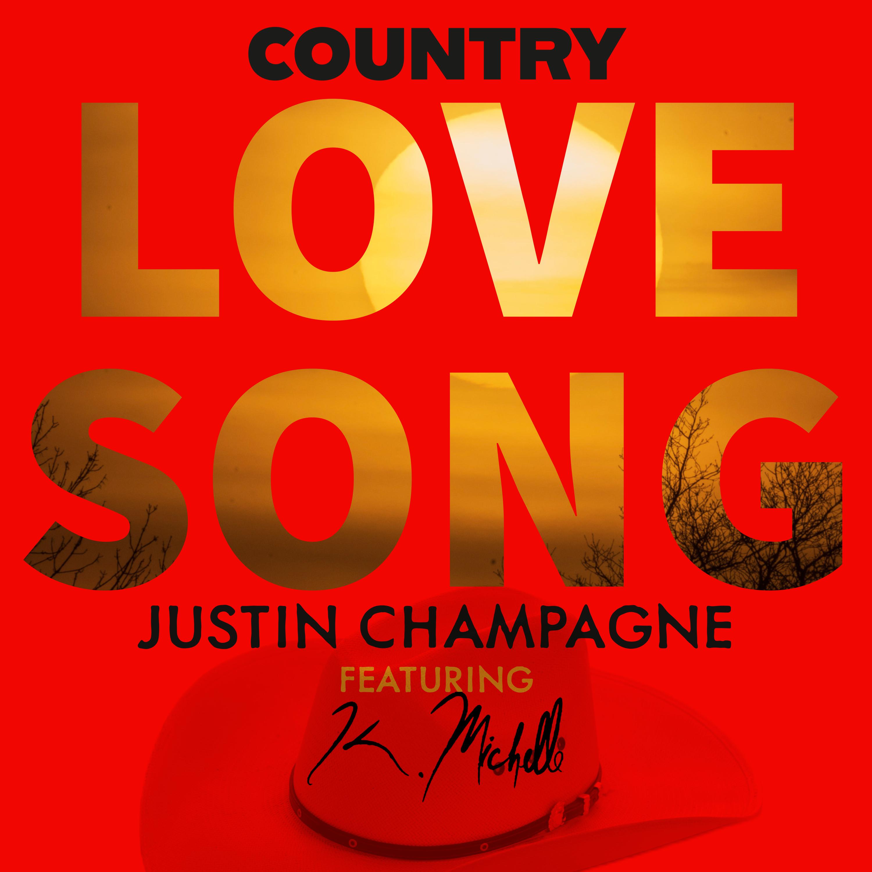Постер альбома Country Love Song
