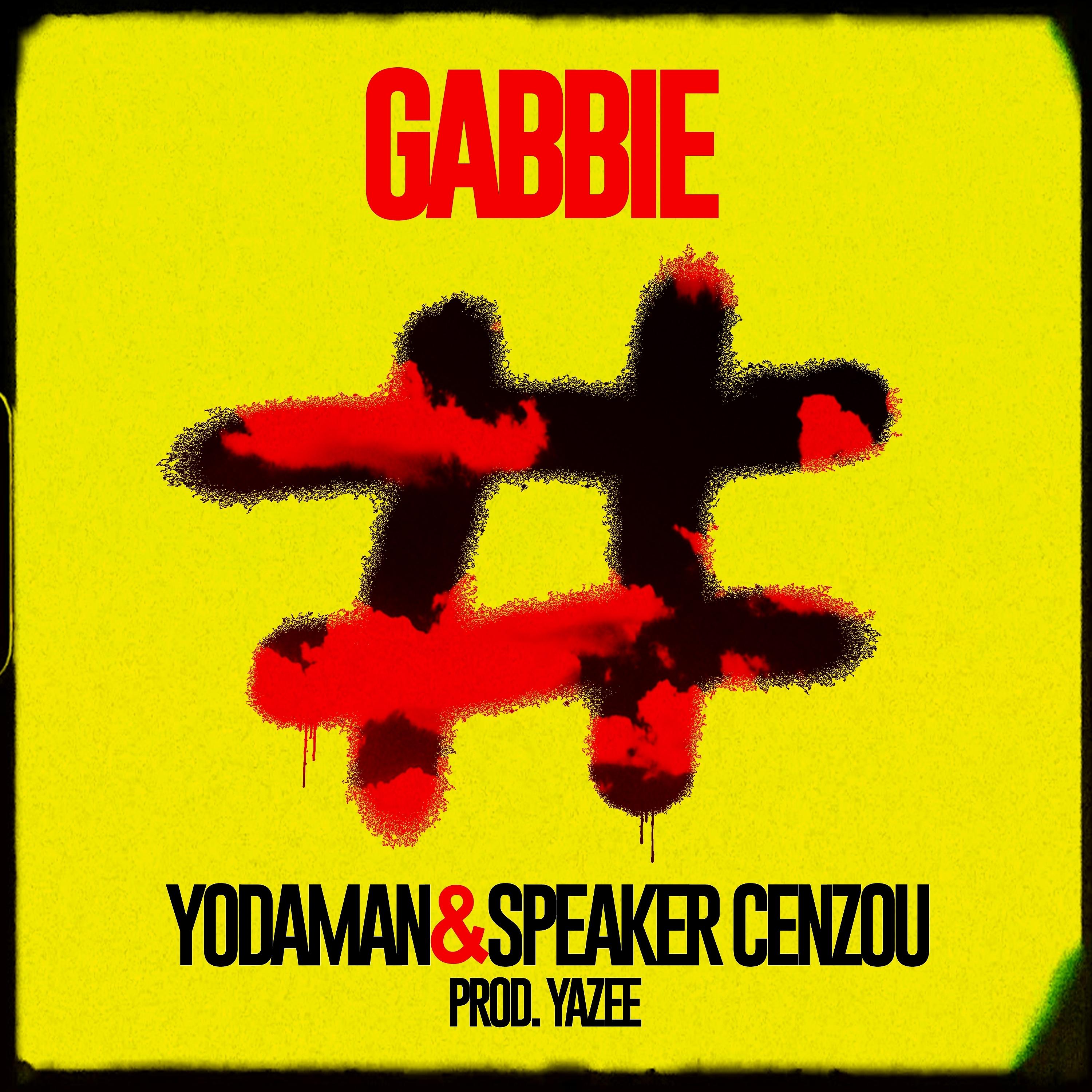 Постер альбома Gabbie