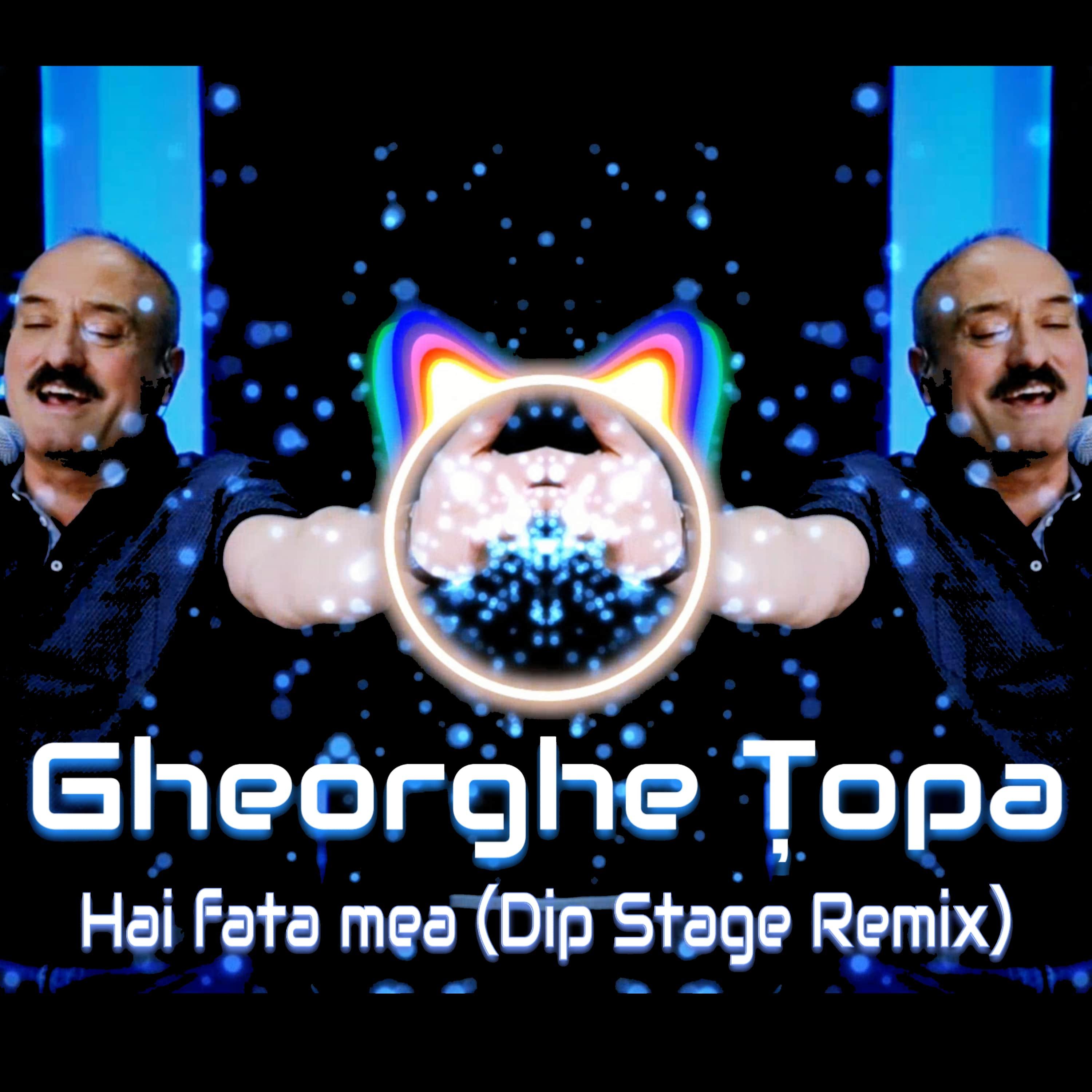 Постер альбома Hai Fata Mea (Dip Stage Remix)