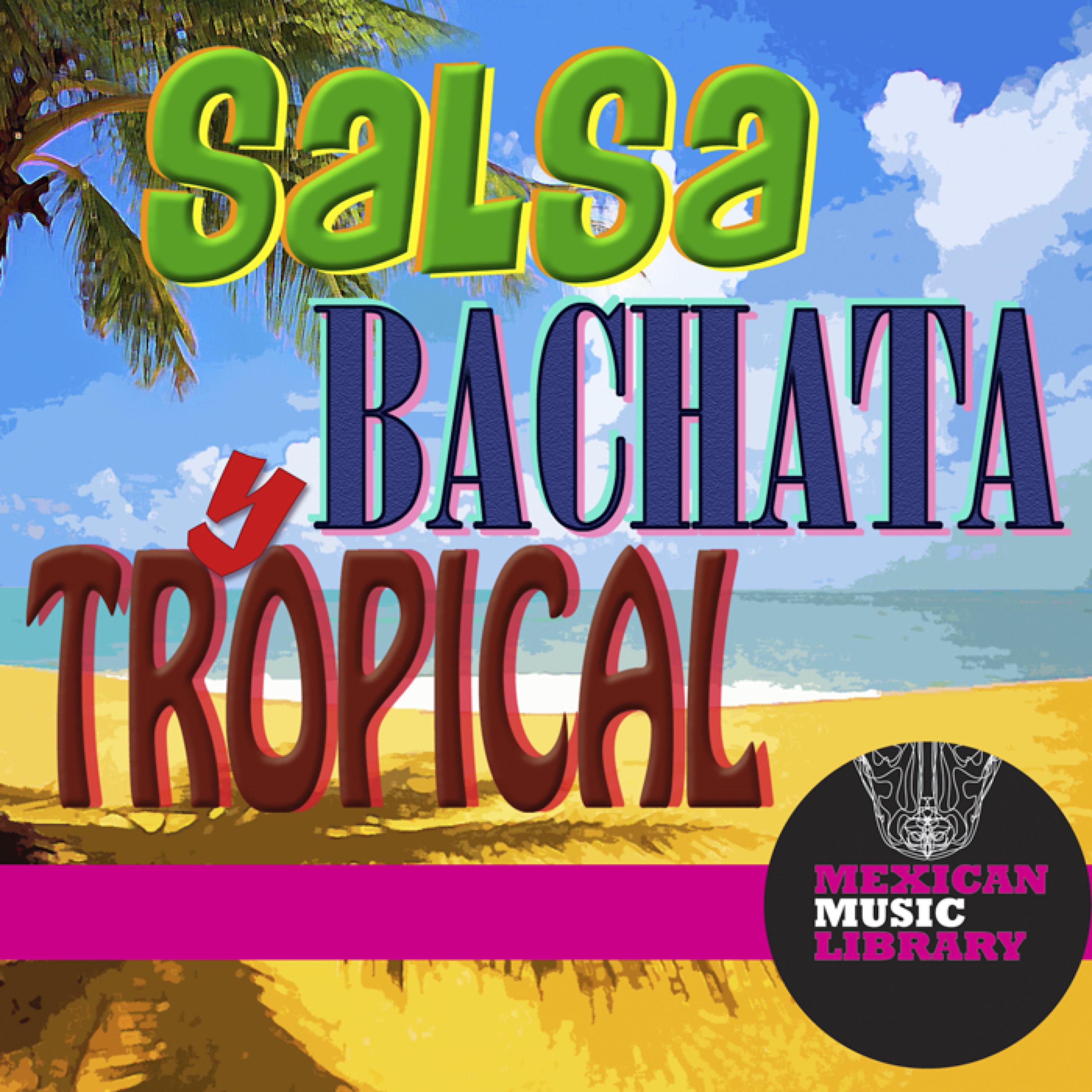 Постер альбома Salsa Bachata y Tropical