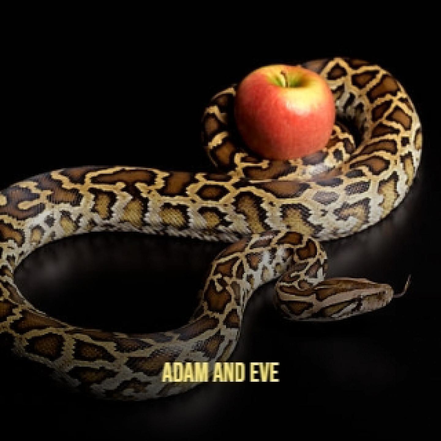 Постер альбома Adam and Eve