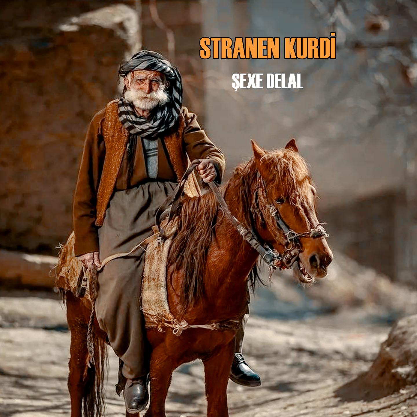 Постер альбома Şexa Delal