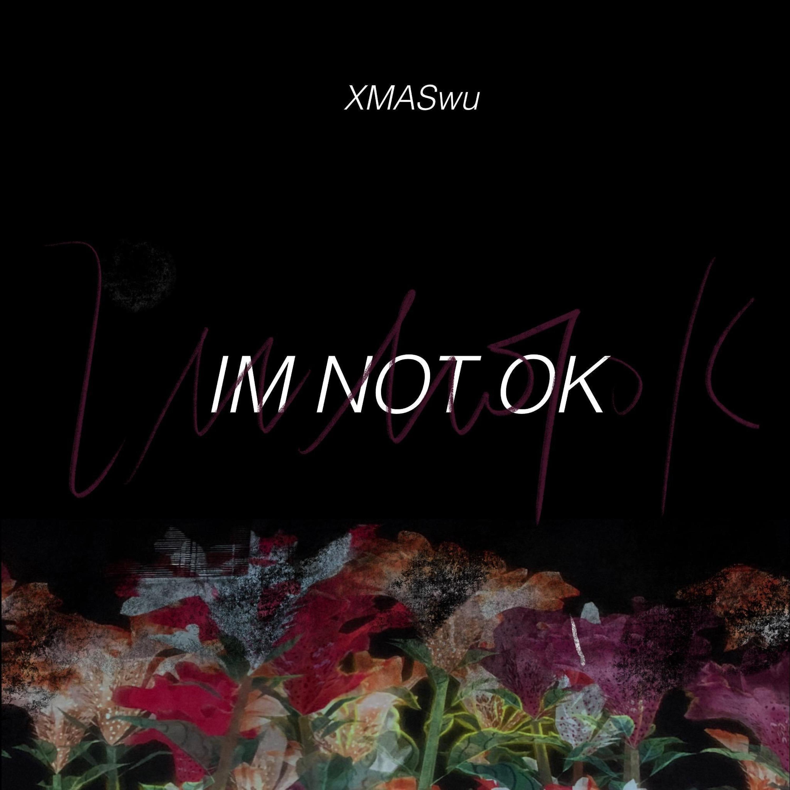 Постер альбома Im Not Ok