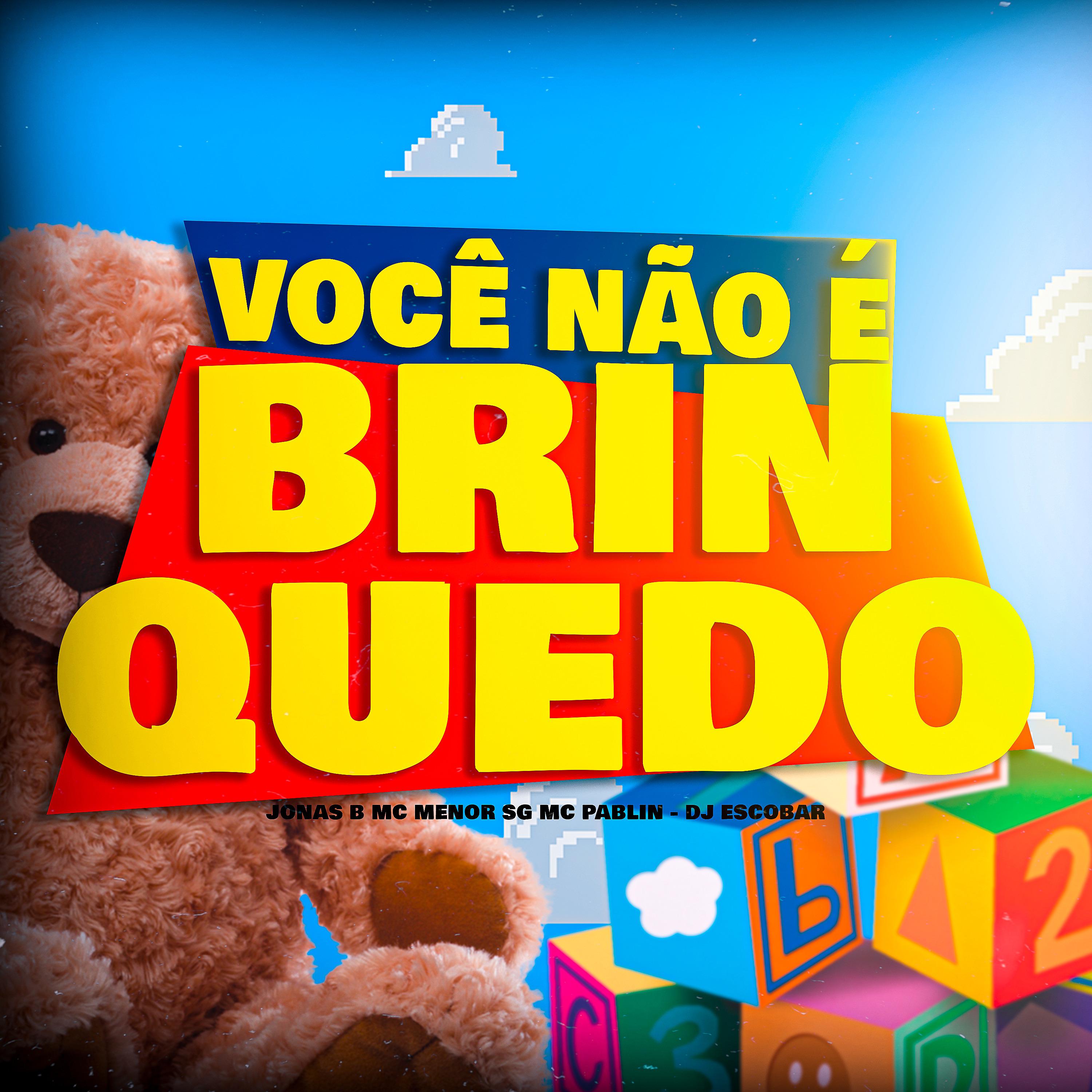 Постер альбома Você Não É Brinquedo