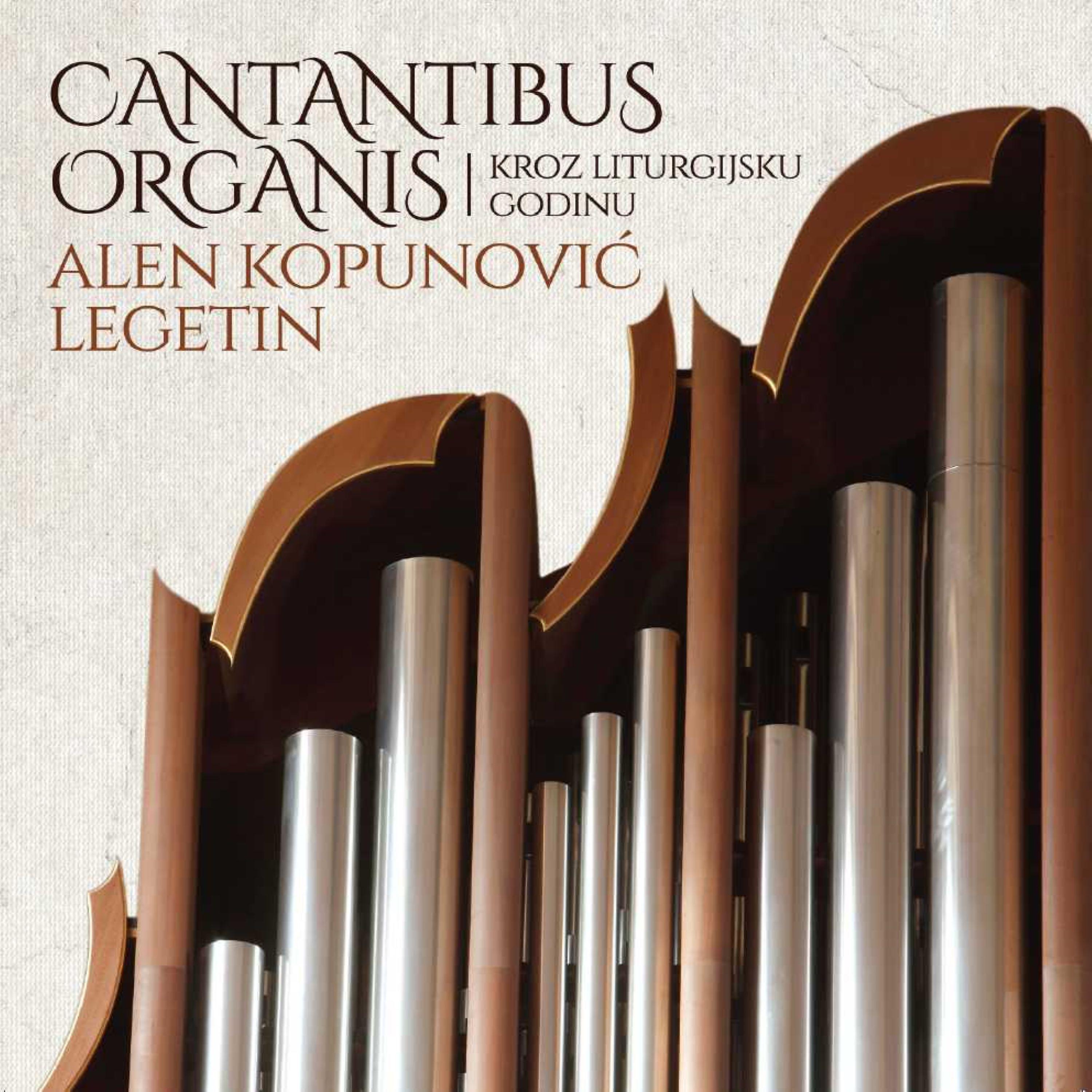 Постер альбома Cantantibus Organis