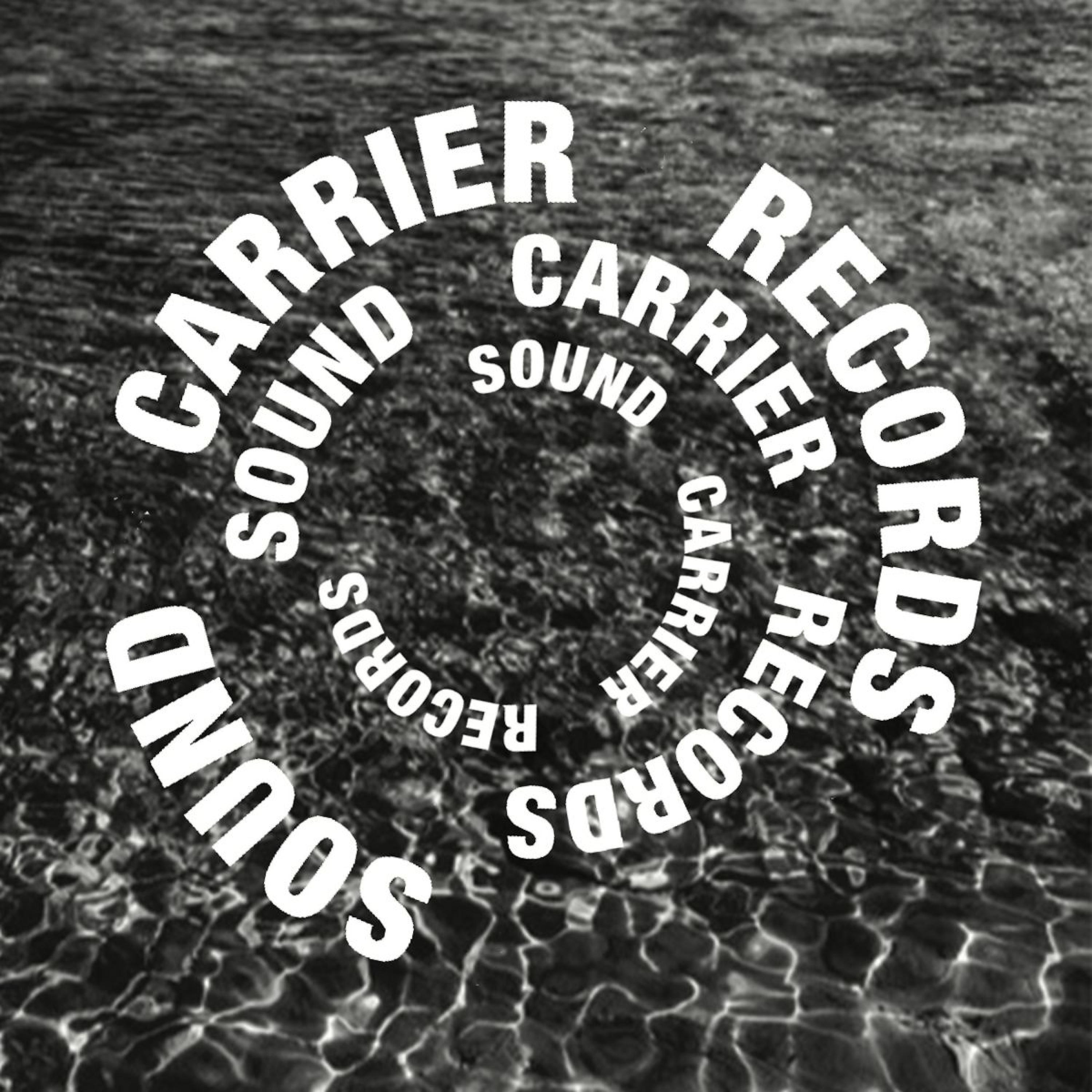 Постер альбома Sound Carrier Records, Pt. 1