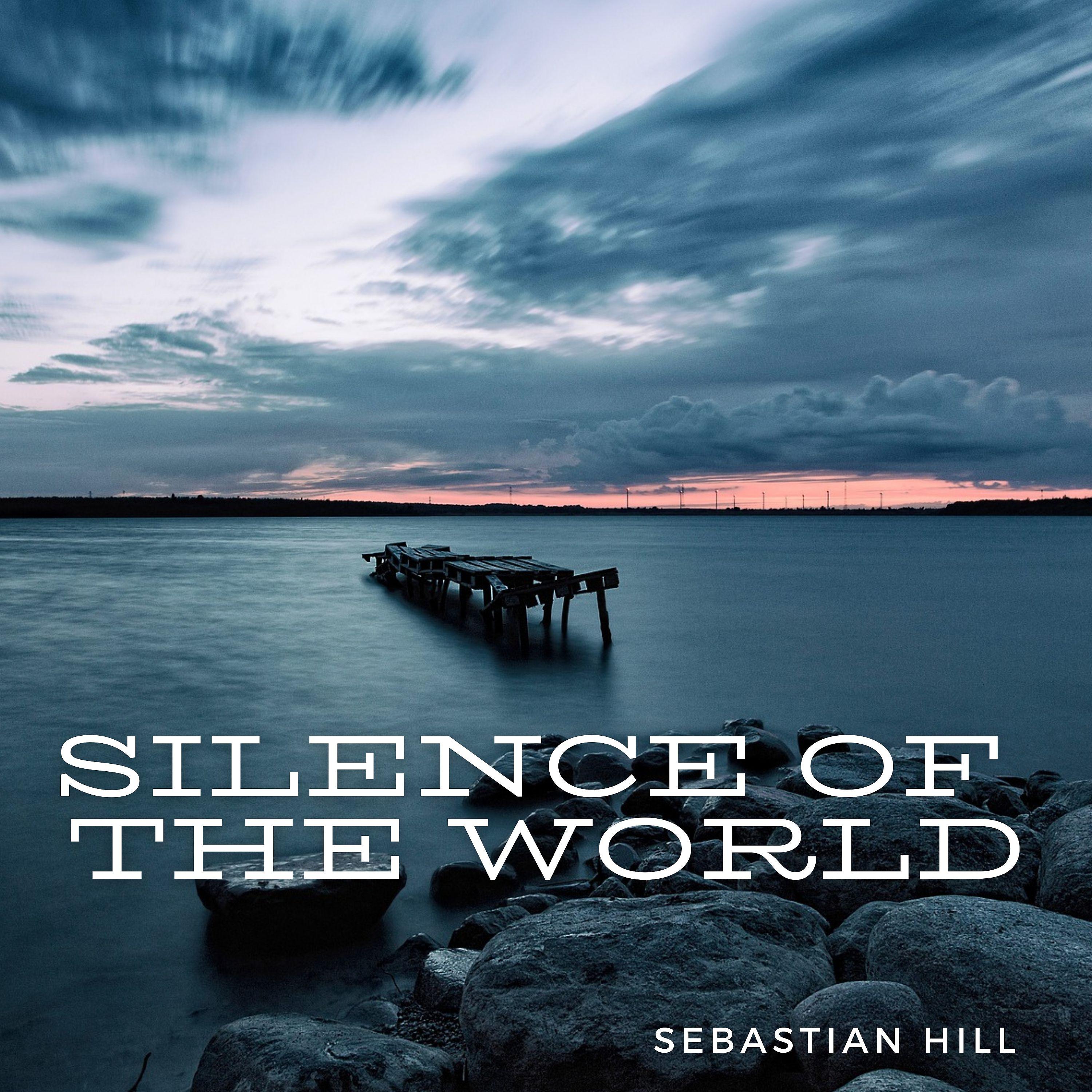 Постер альбома Silence of the World
