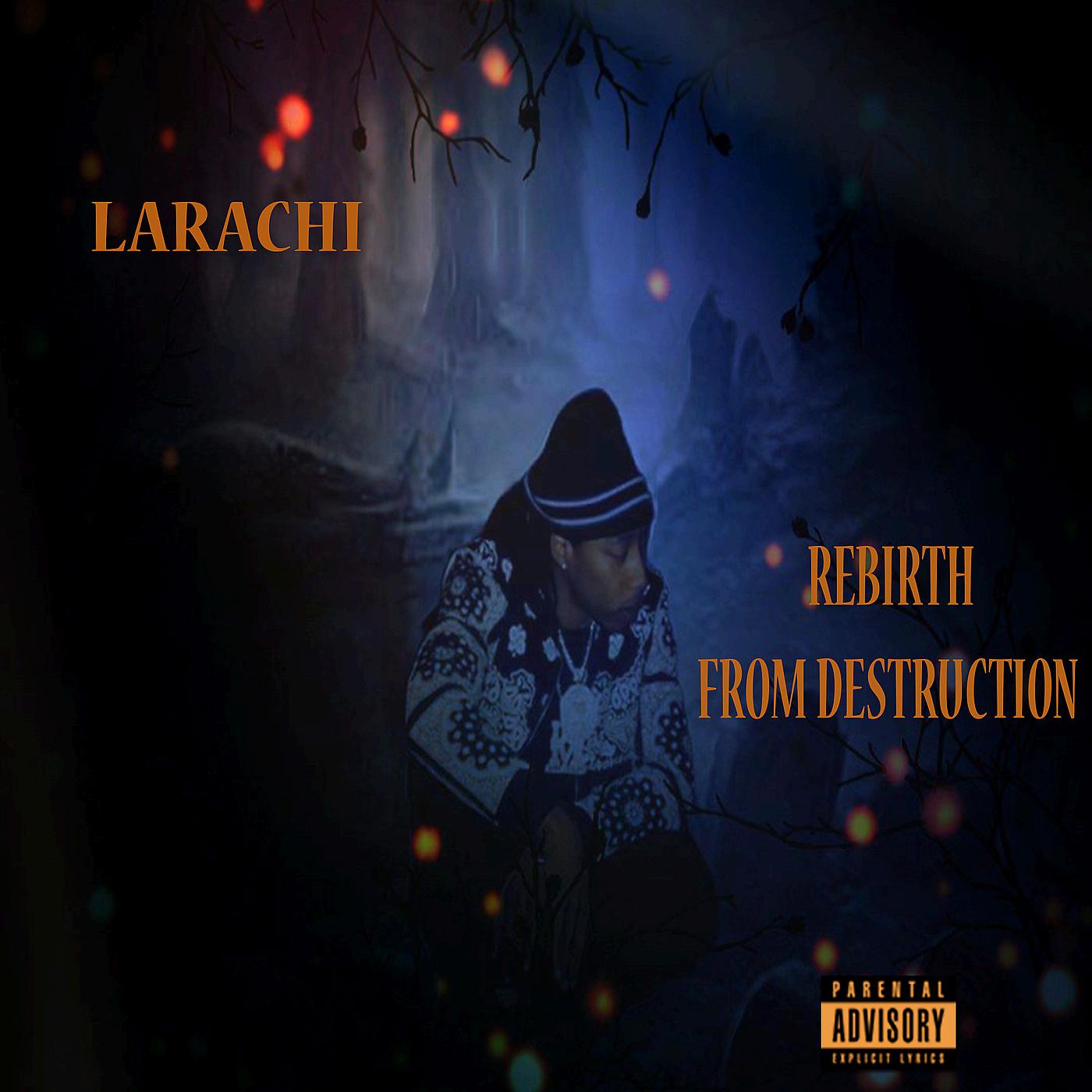 Постер альбома Rebirth from Destruction