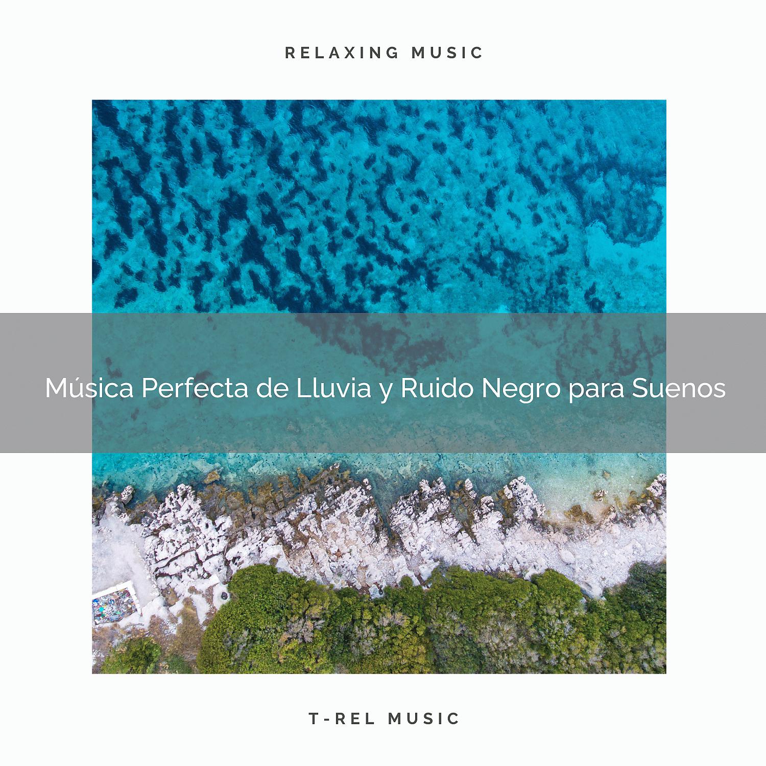 Постер альбома Música Perfecta de Lluvia y Ruido Negro para Suenos