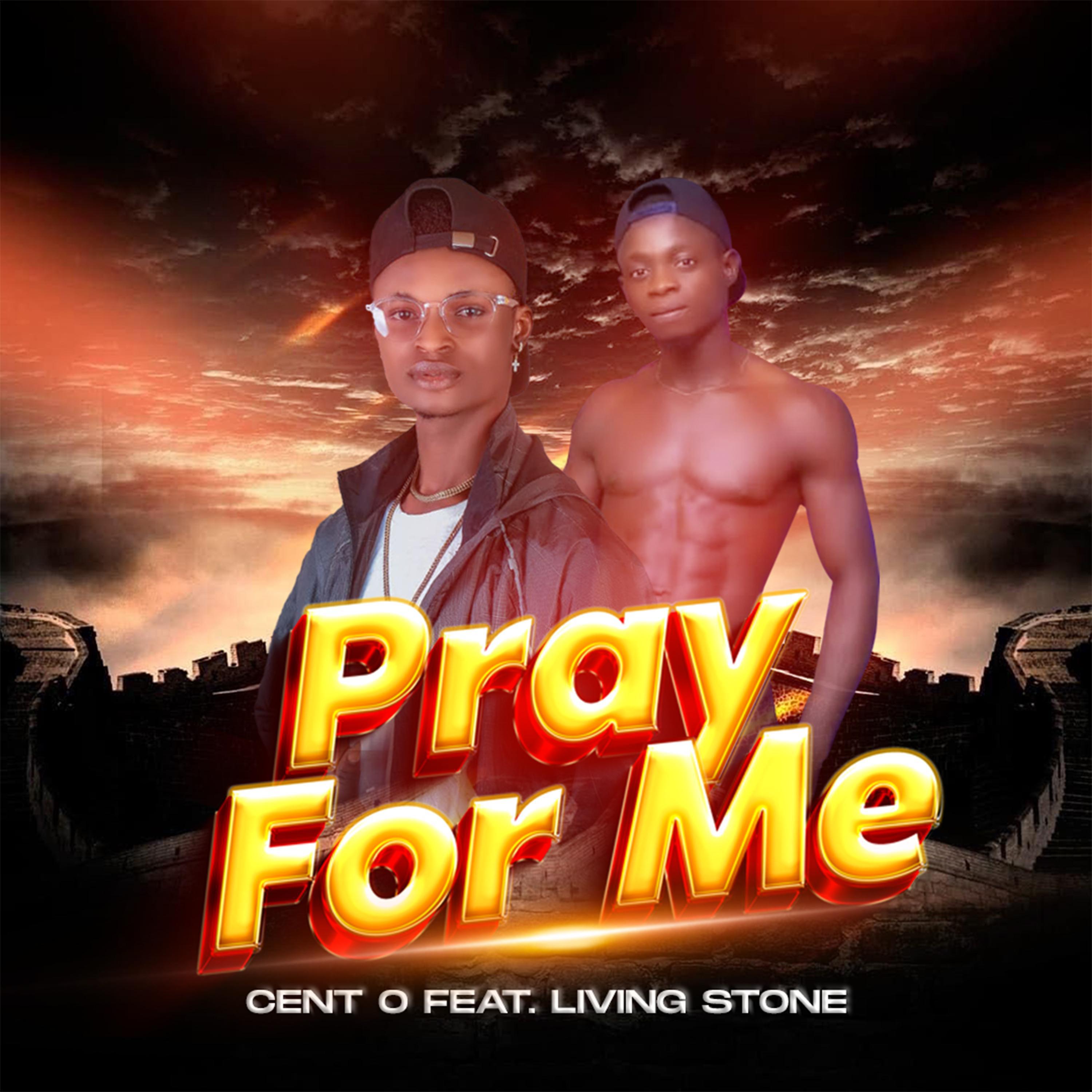 Постер альбома Pray For Me (feat. Living Stone)
