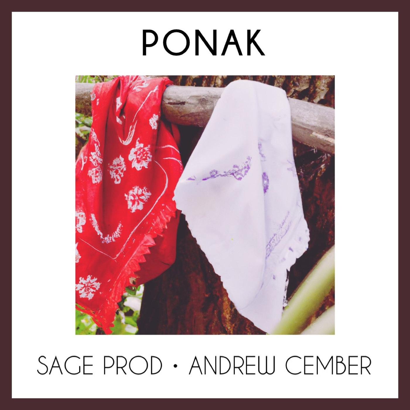 Постер альбома Ponak