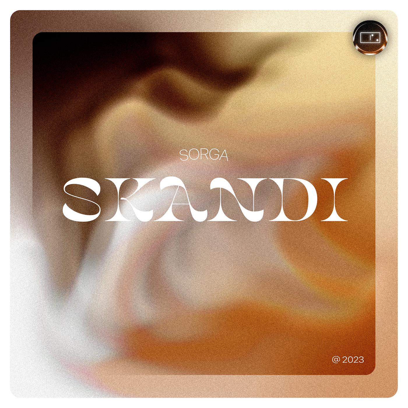 Постер альбома Skandi
