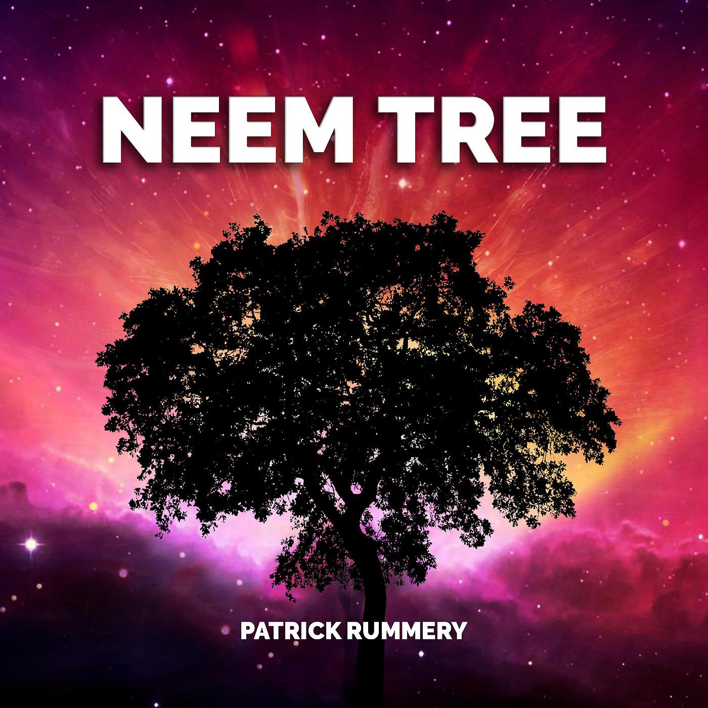 Постер альбома Neem Tree