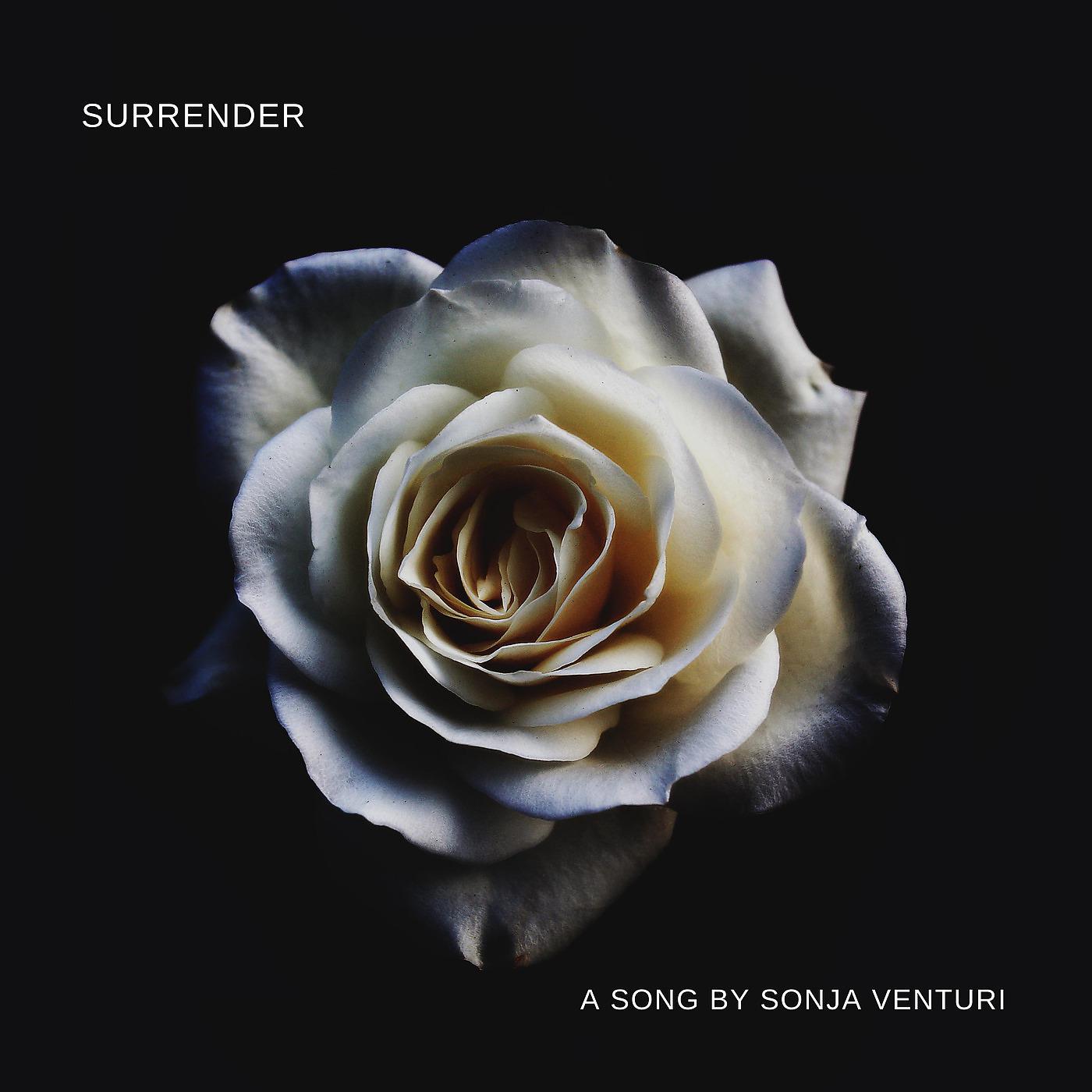 Постер альбома Surrender
