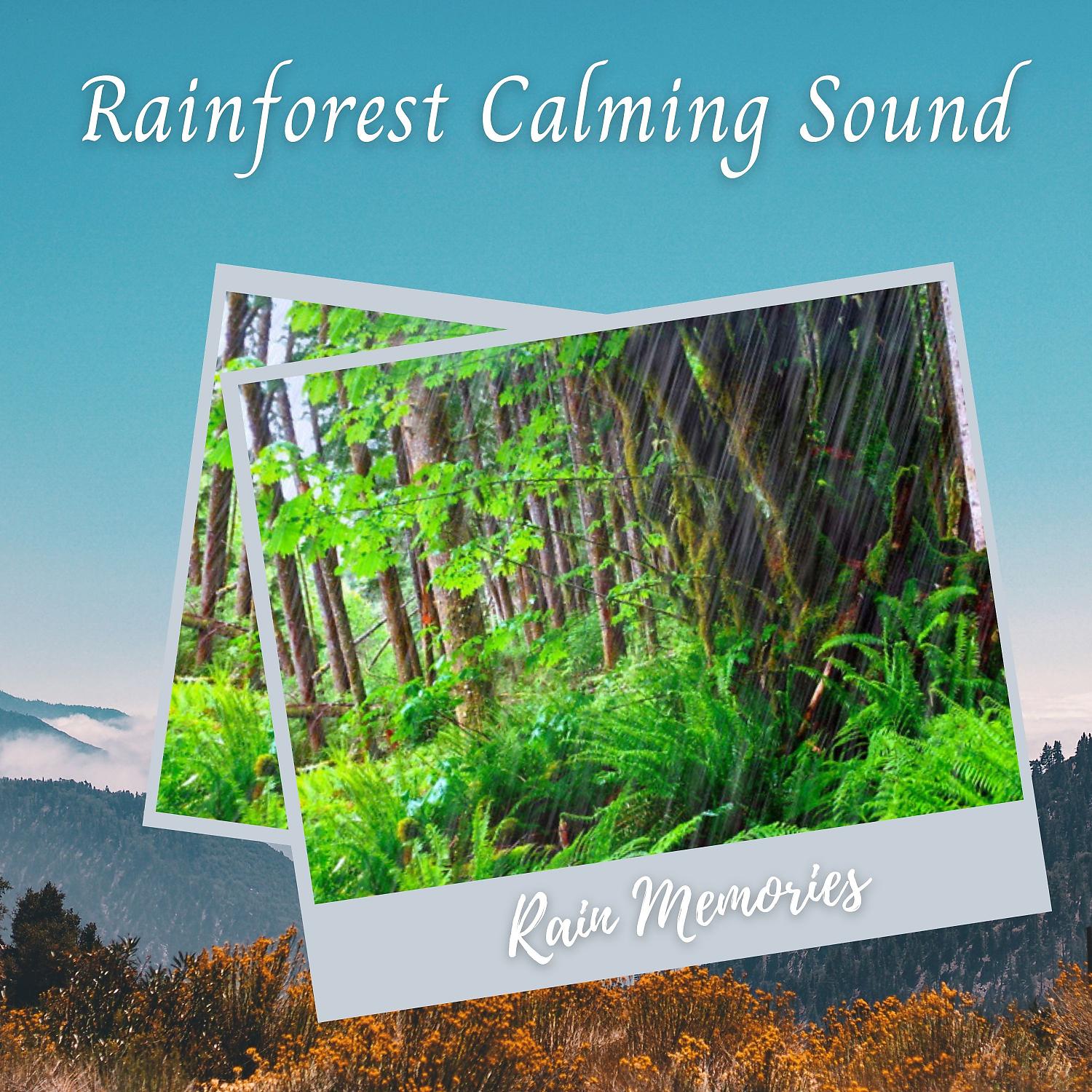 Постер альбома Rain Memories: Rainforest Calming Sound