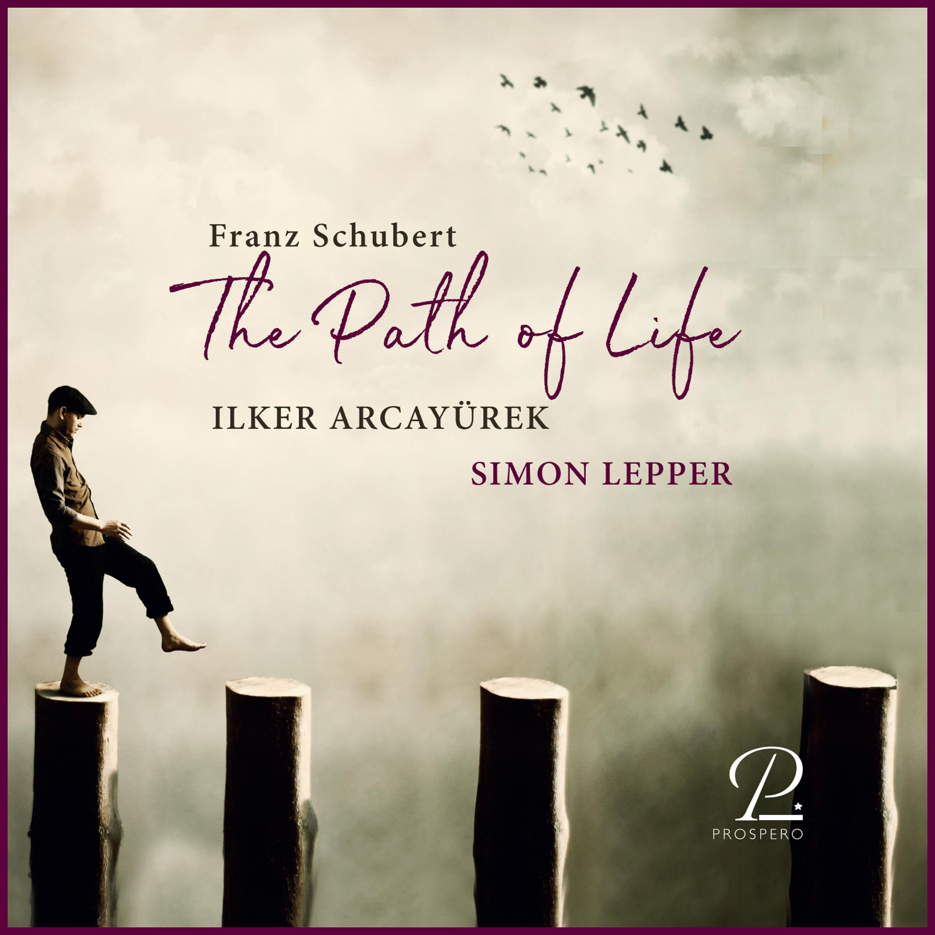 Постер альбома The Path of Life