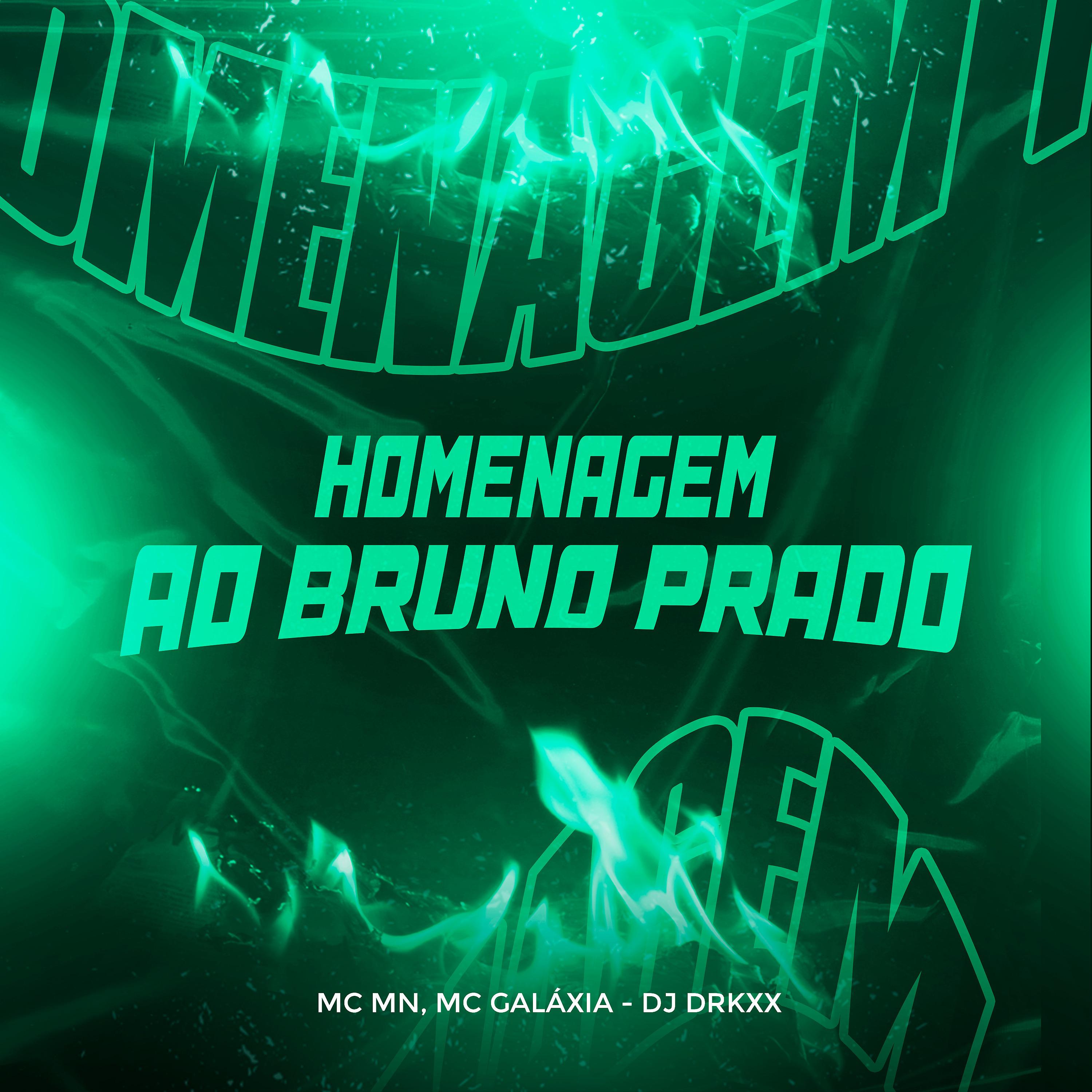 Постер альбома Homenagem ao Bruno Prado