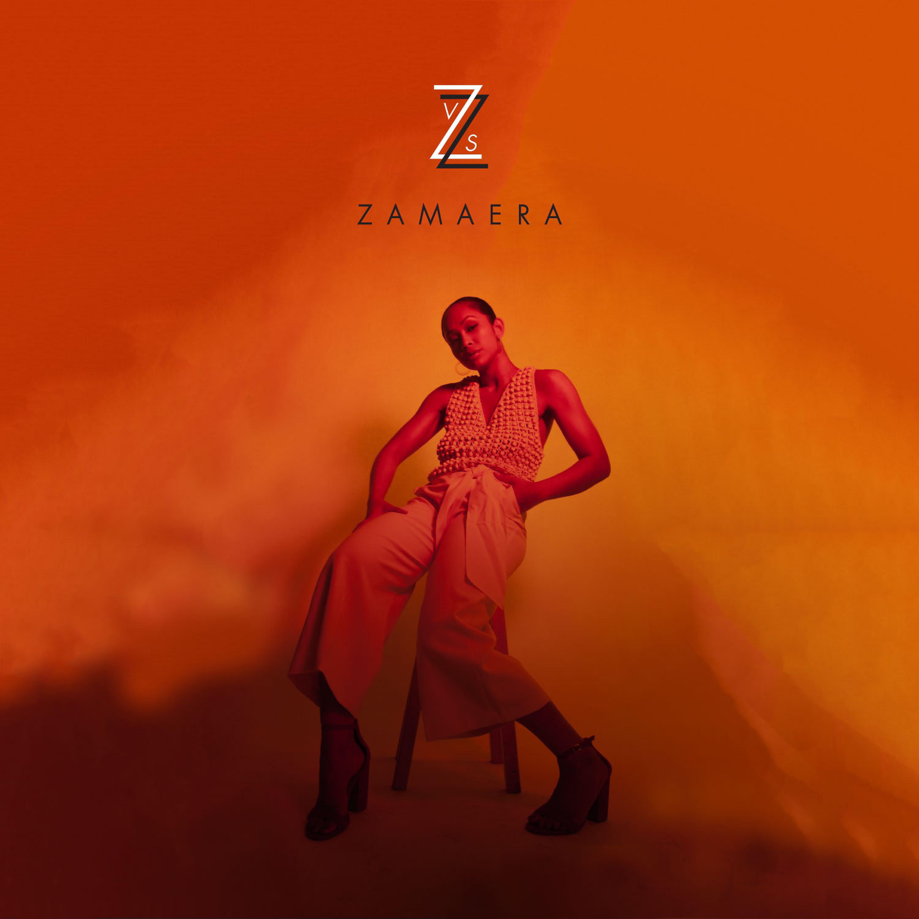 Постер альбома Z vs Z