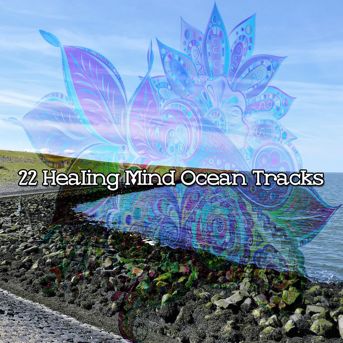 Постер альбома 22 Healing Mind Ocean Tracks