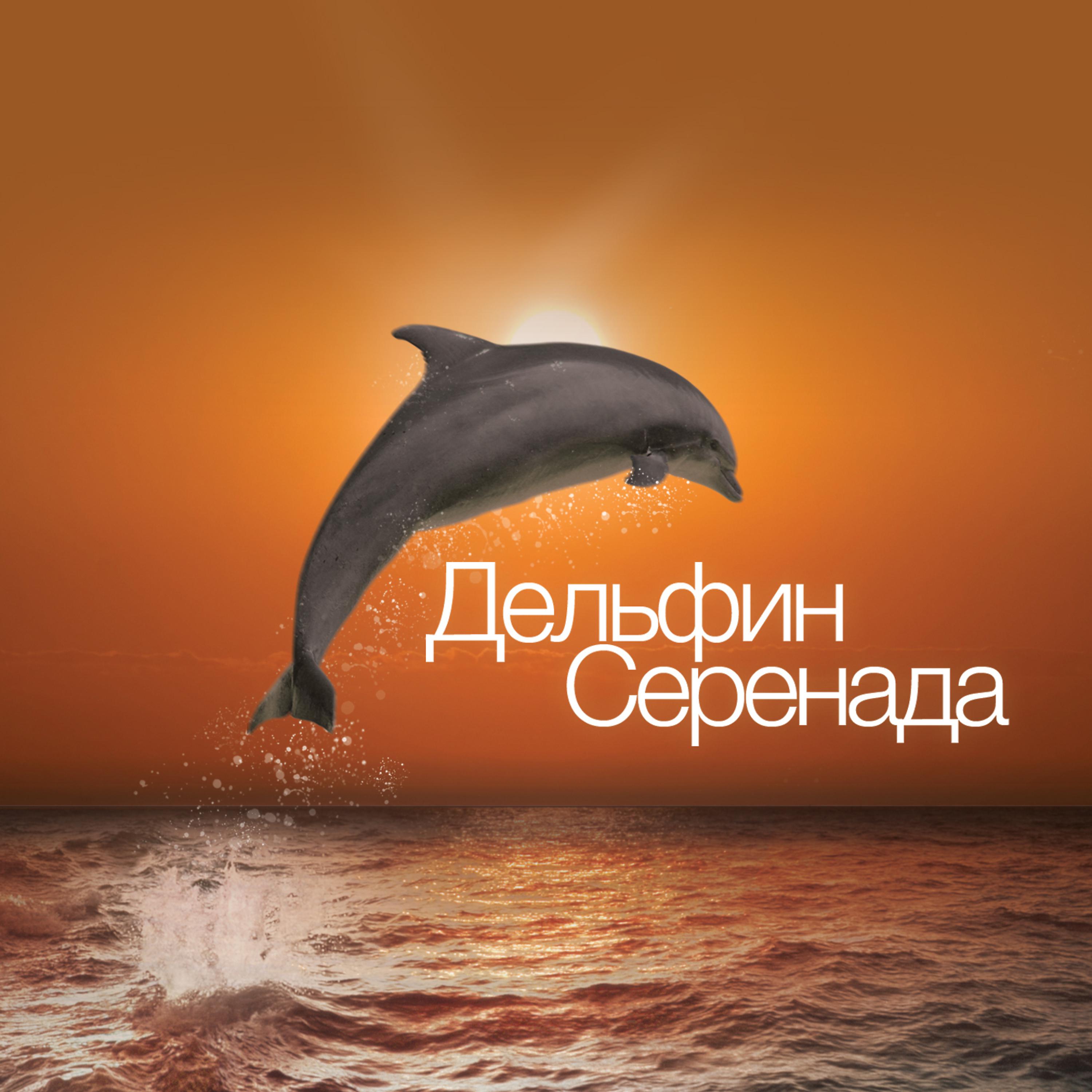 Постер альбома Дельфин Серенада
