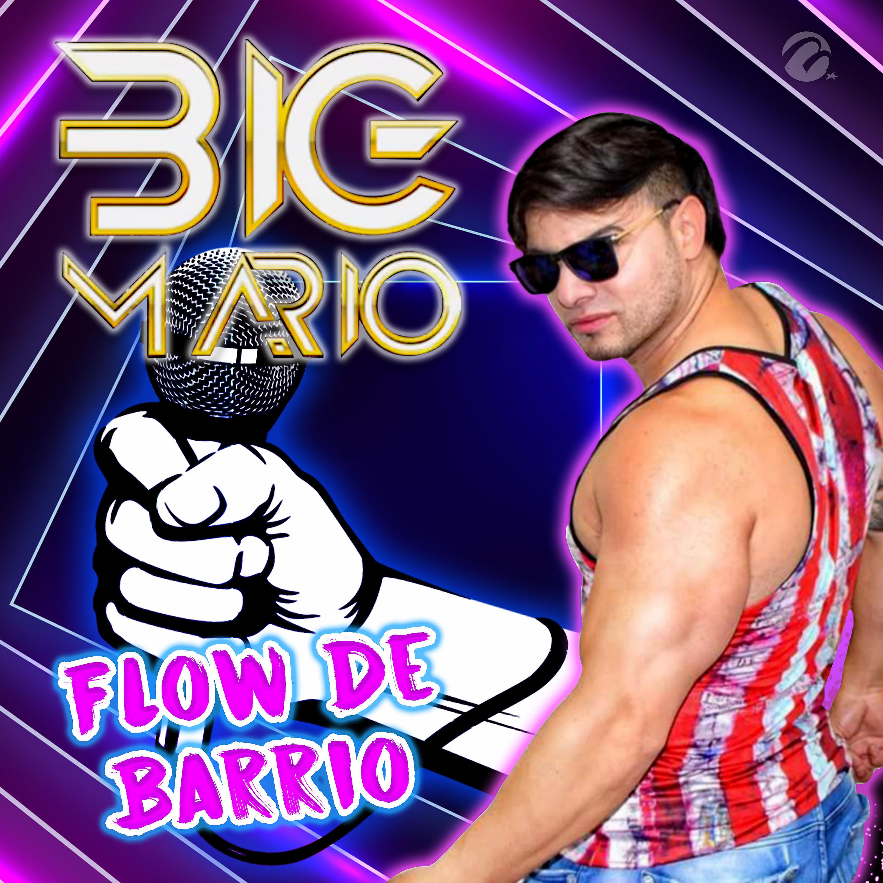 Постер альбома Flow de Barrio
