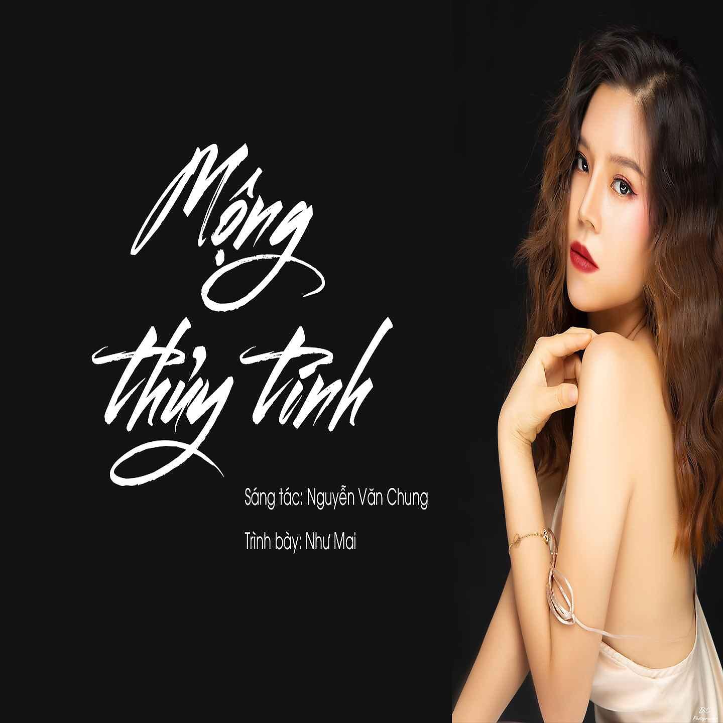 Постер альбома Mộng Thủy Tinh