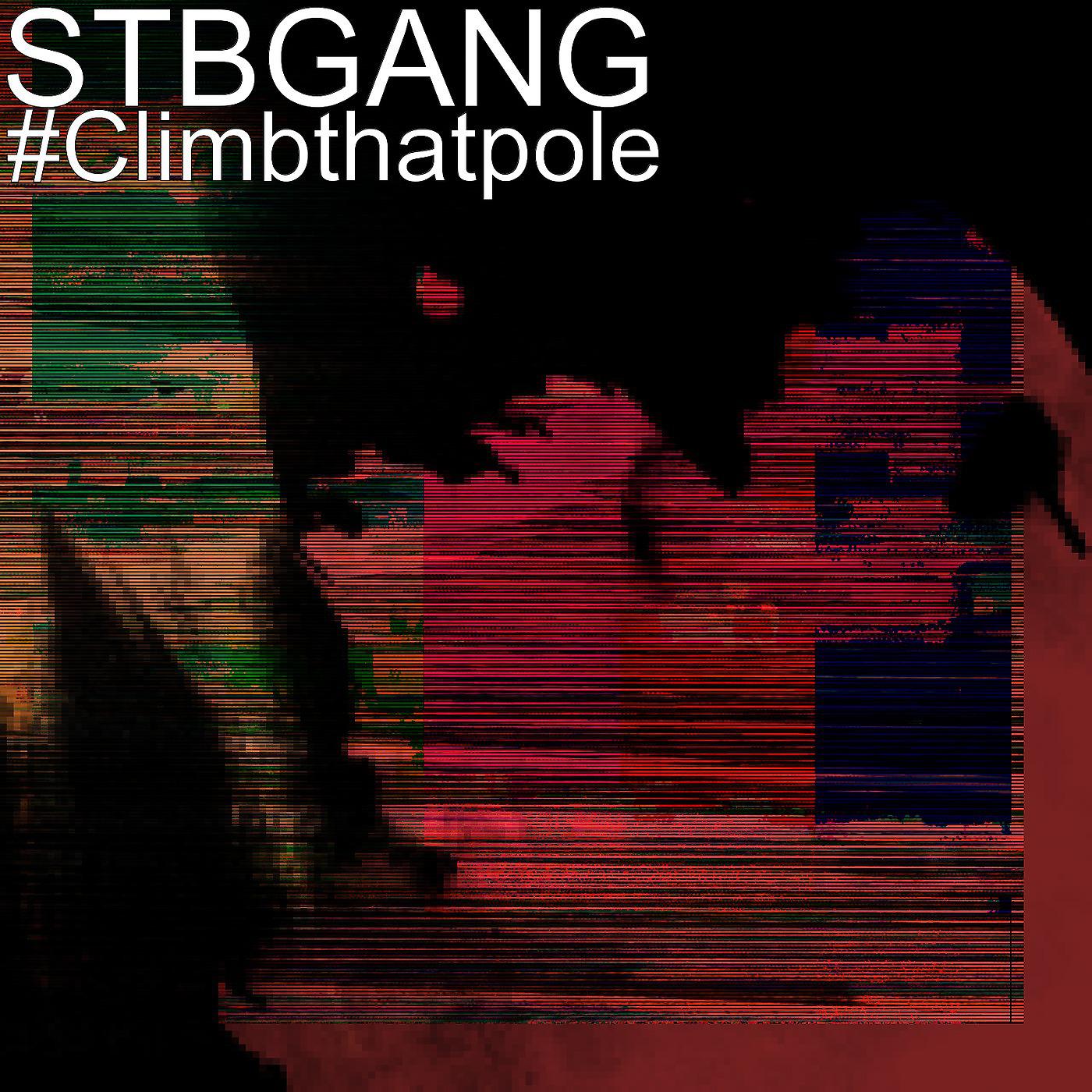 Постер альбома #Climbthatpole