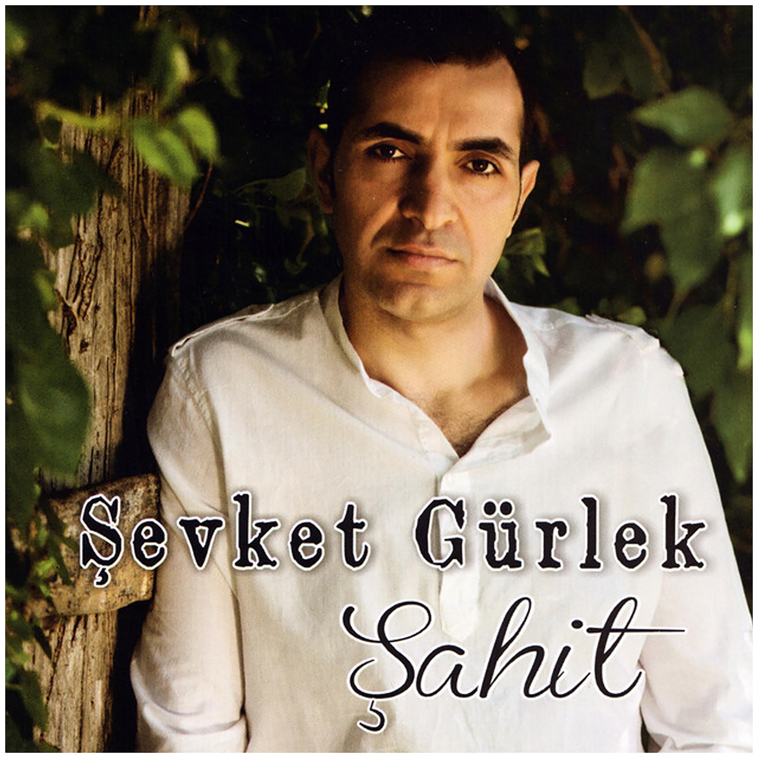 Постер альбома Şahit 